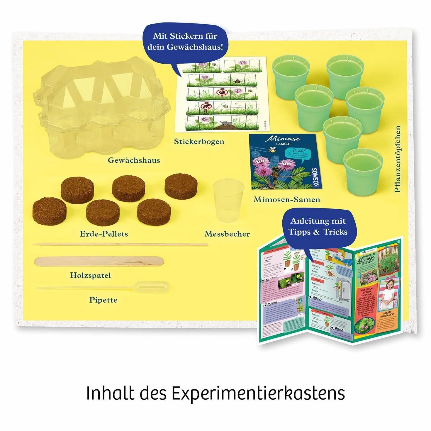 Mimosen-Garten: Experimentierkasten