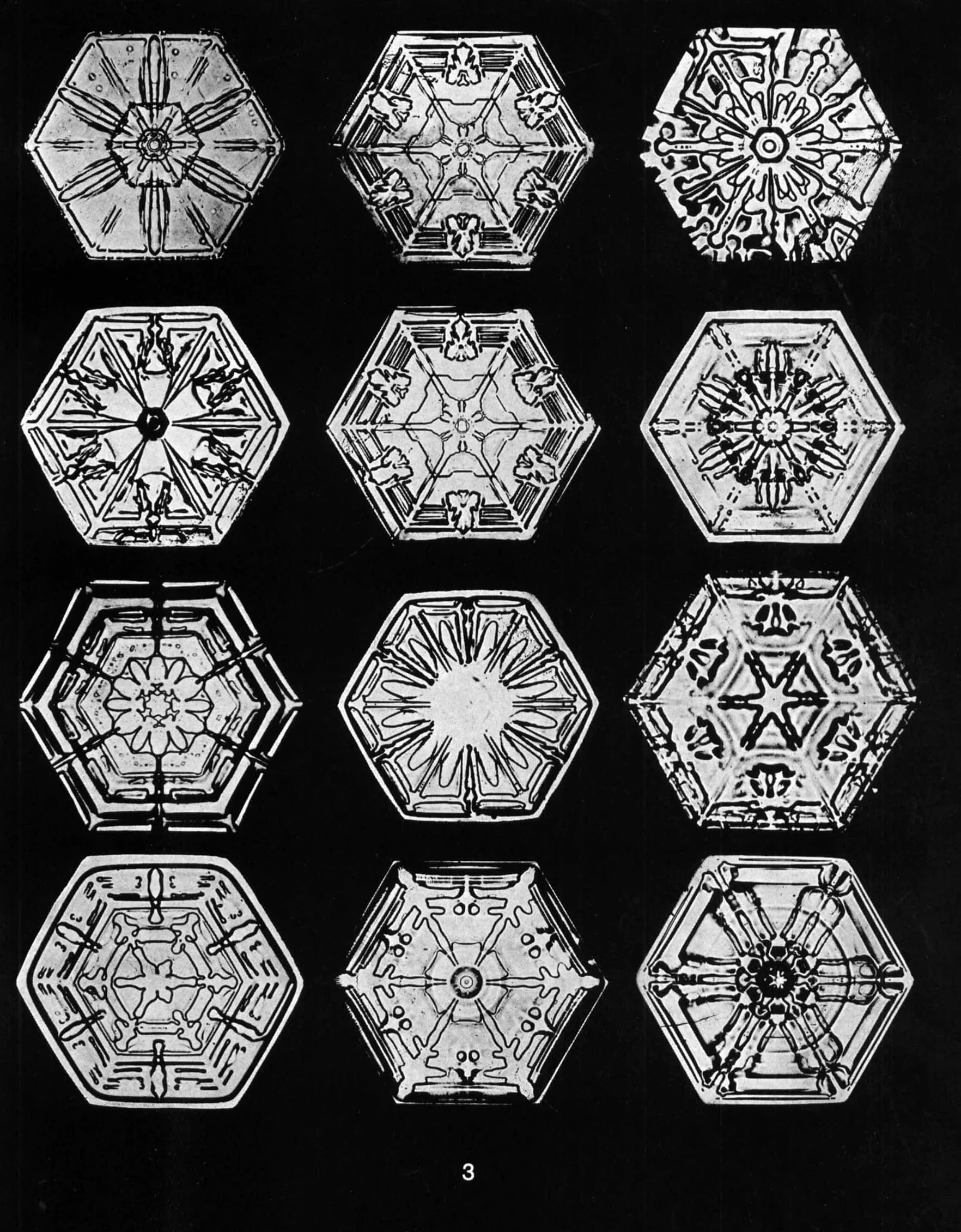 Snowflakes in Photographs