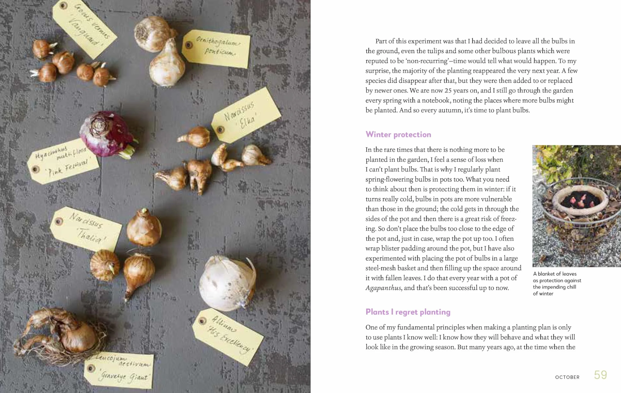 My Garden: A Year of Design and Experimentation