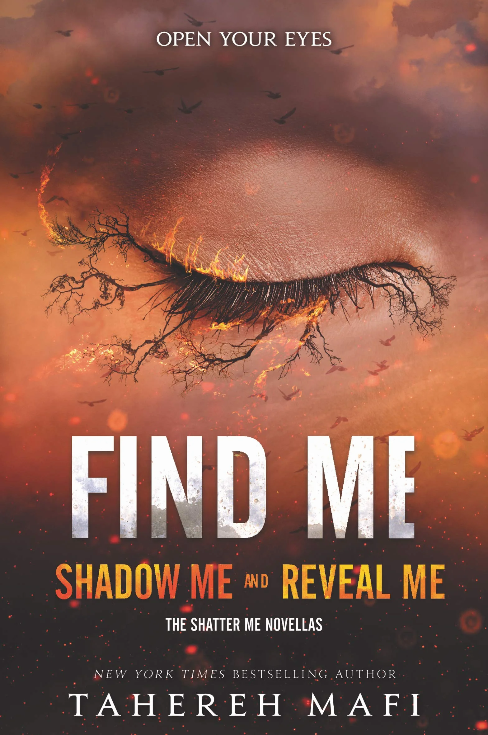 Find Me: Shadow Me and Reveal Me: 3-4