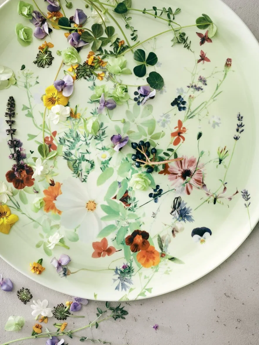 Rosenthal 6-częściowy/kombi/Cp Grand Air wieloczęściowy CM, wielokolorowy