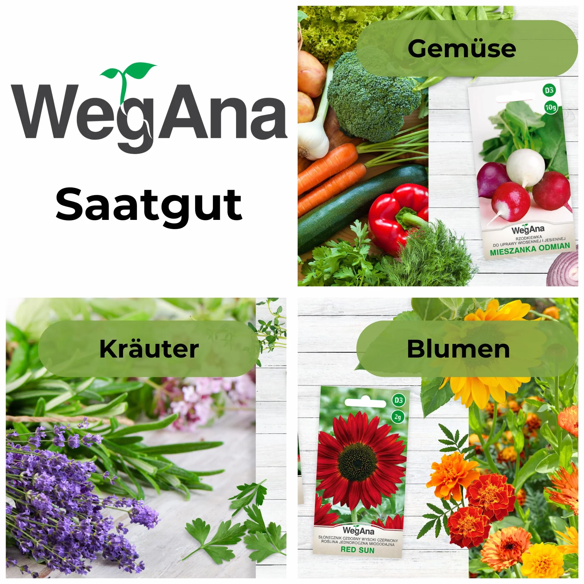 Maciejka 3g - WegAna
