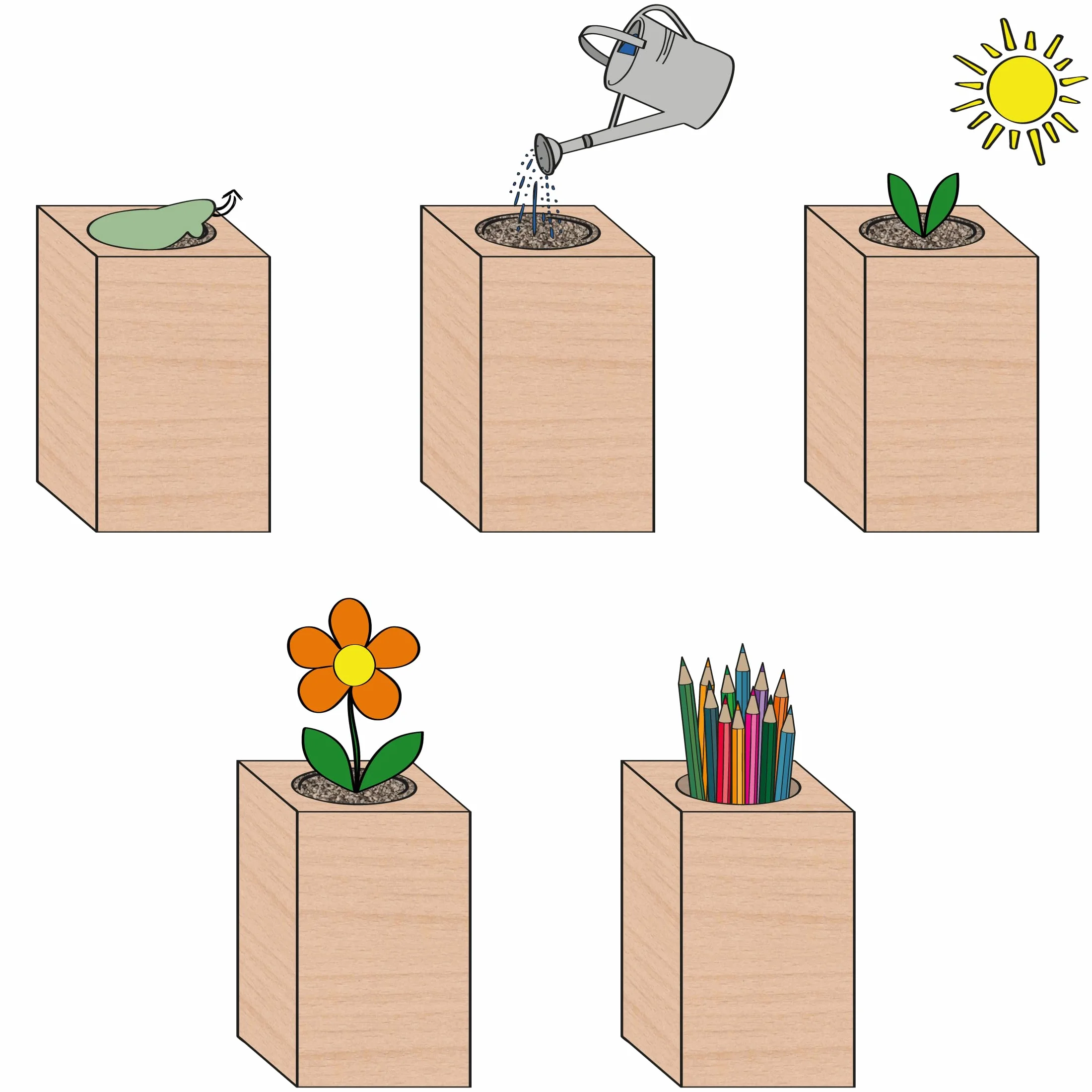 Feel Green ecoblock Rajski ptak kwiat, zrównoważony pomysł na prezent (100% przyjazny dla środowiska), Grow Your Own/zestaw do uprawy, rośliny w bloku drewnianym, wyprodukowano w Austrii