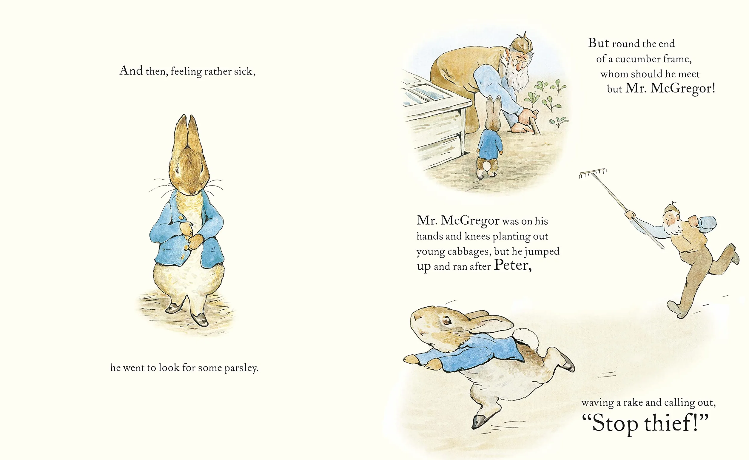 The Tale of Peter Rabbit Picture Book