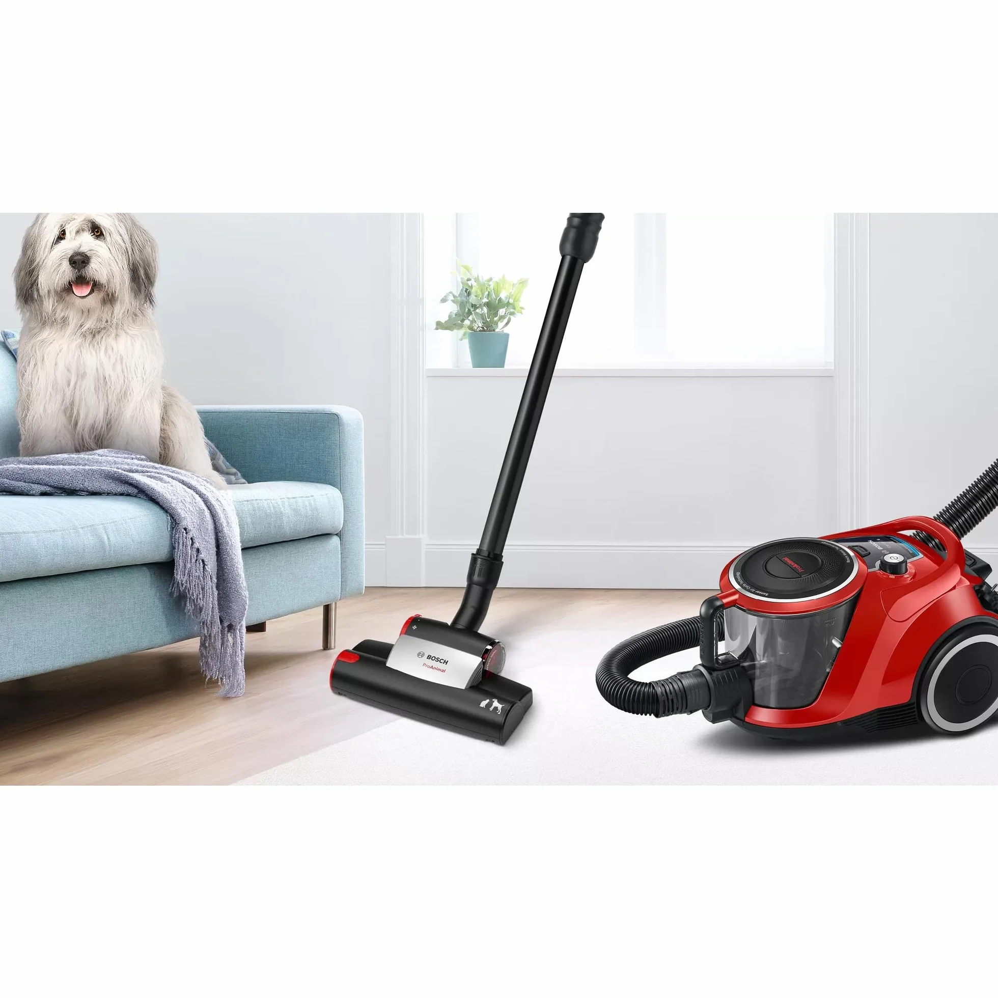 Bosch Hausgeräte Seria 6 Odkurzacz Workowy, Czerwony, 600W 240V