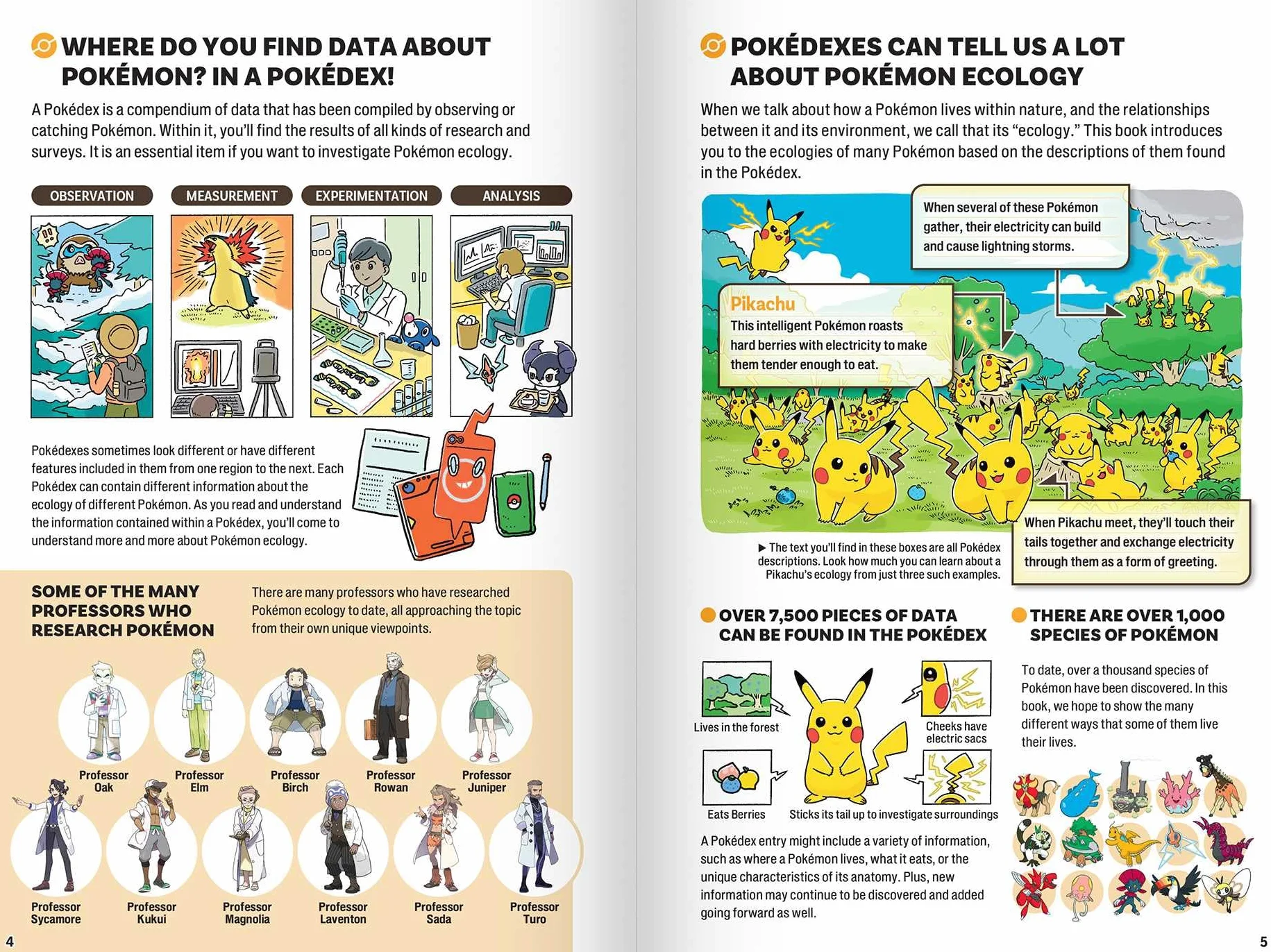 Pokécology An Illustrated Guide to Pokémon Ecology