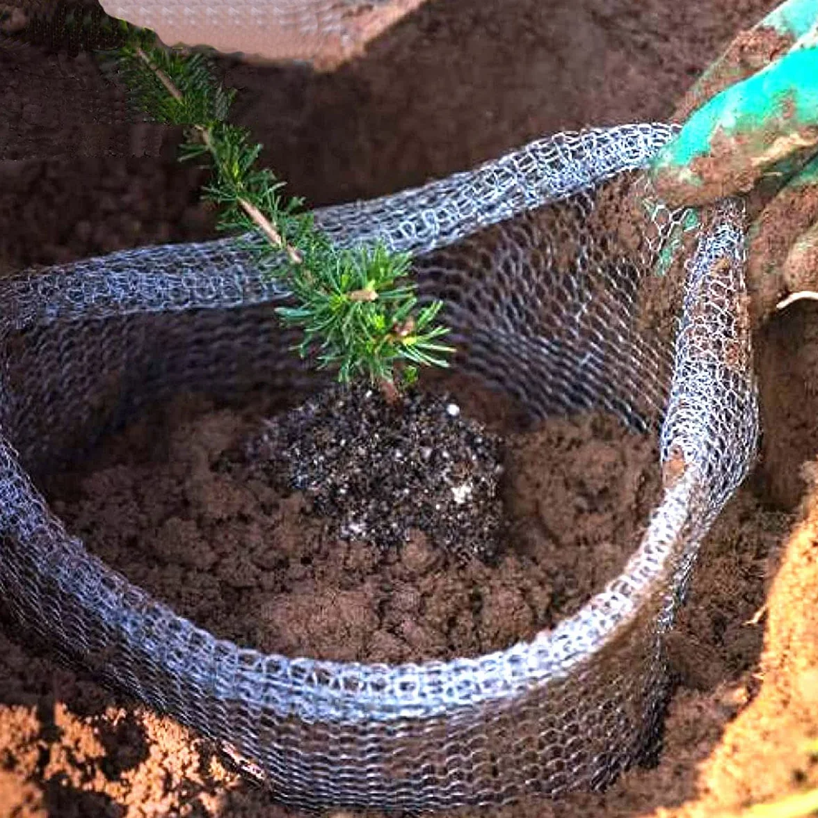 3 szt. Siatka ochronna Siatka ze stali nierdzewnej Siatka siatkowa Ochrona korzeni roślin Gopher i Kosze z drutu powietrznego Ochrona roślin, drzew, kwiatów i żarówek wolframowych (63 x 65 cm)