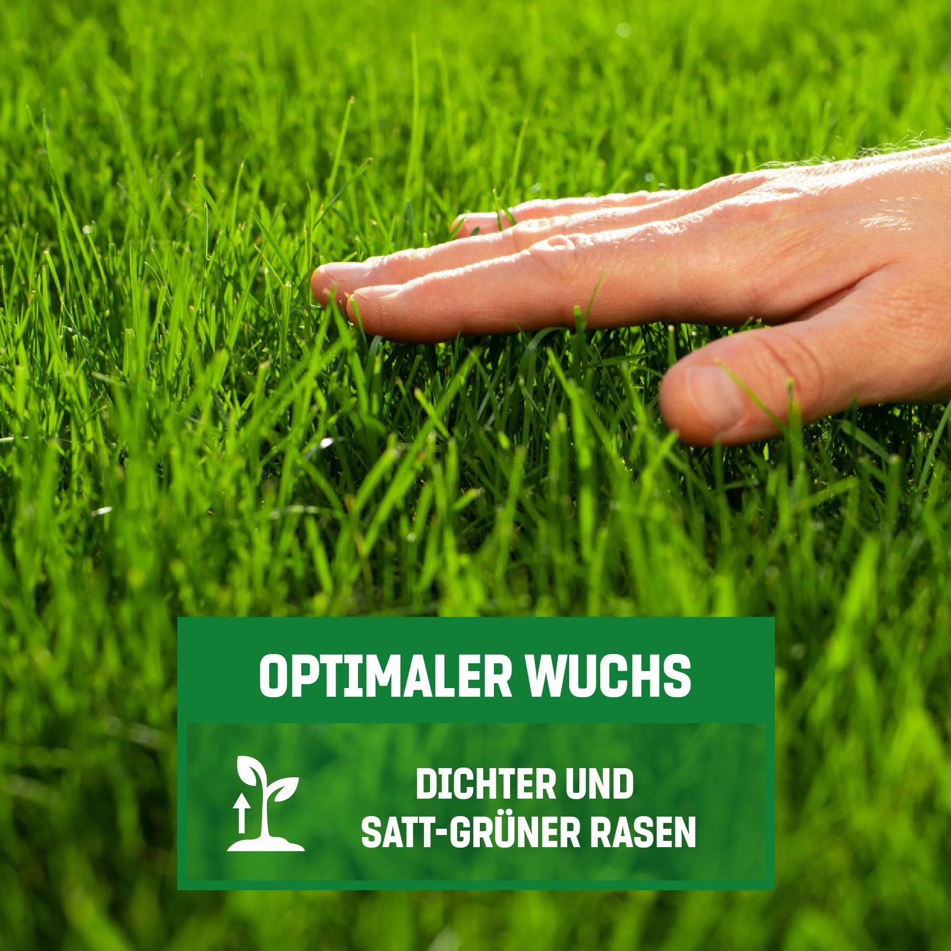 GardenGloss Nasiona Trawy Szybkokiełkujące Lato 1kg - Wyprodukowane w Niemczech - 50m2 Powierzchni Trawnika - Nasiona Trawy Turbo do Dosiewu i Zakładania - Dosiewka Trawnika