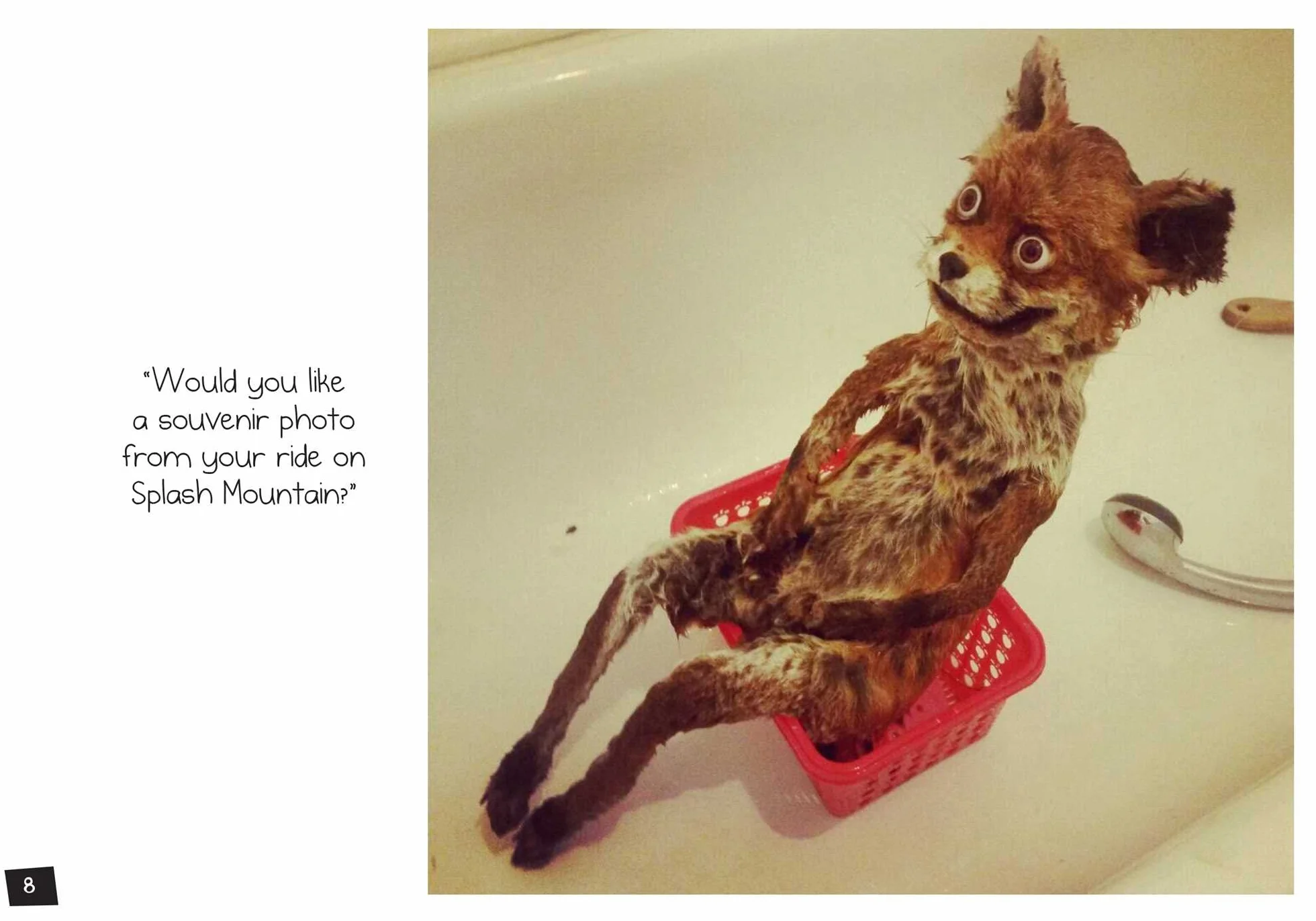 Much Ado about Stuffing: The Best and Worst of @CrapTaxidermy