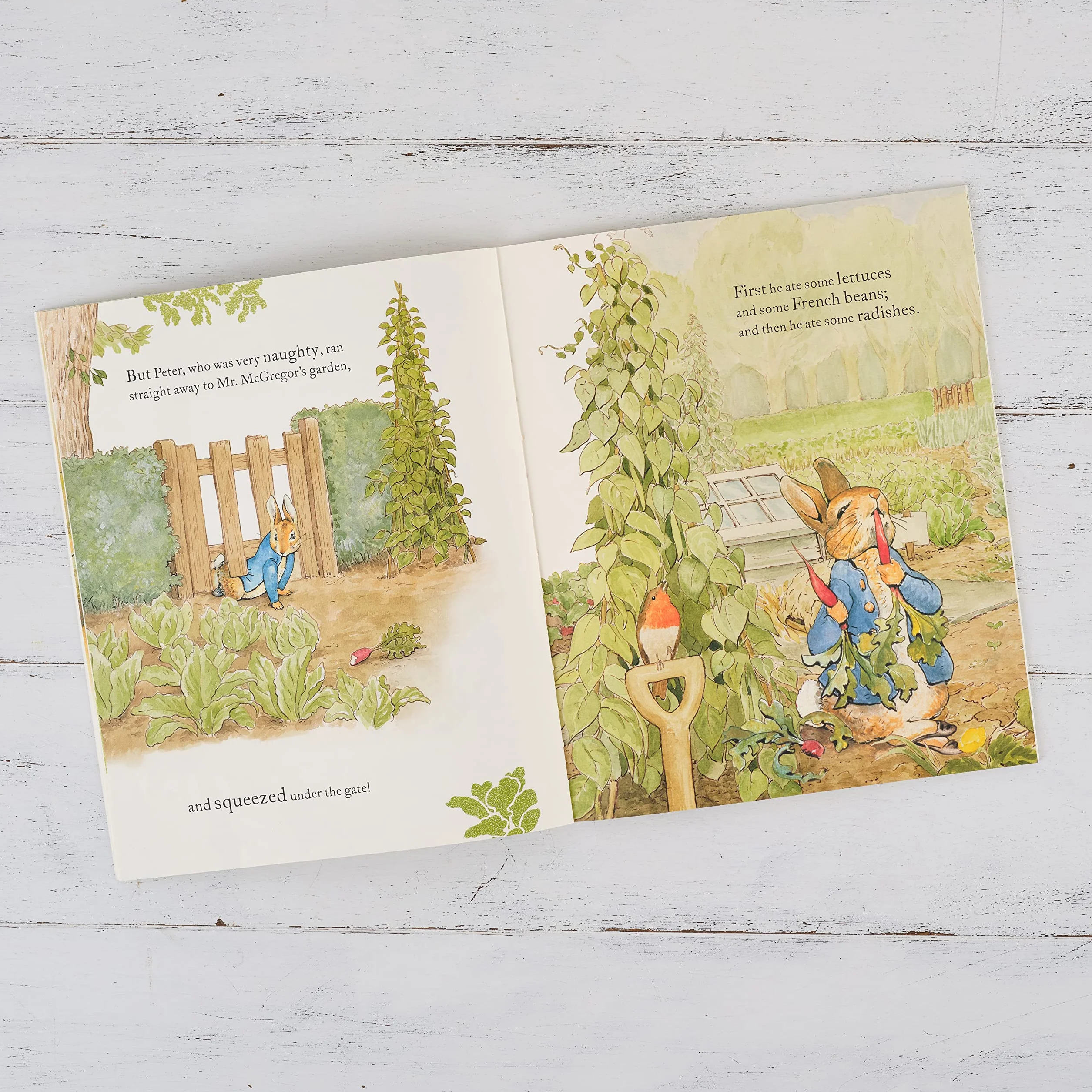 The Tale of Peter Rabbit Picture Book