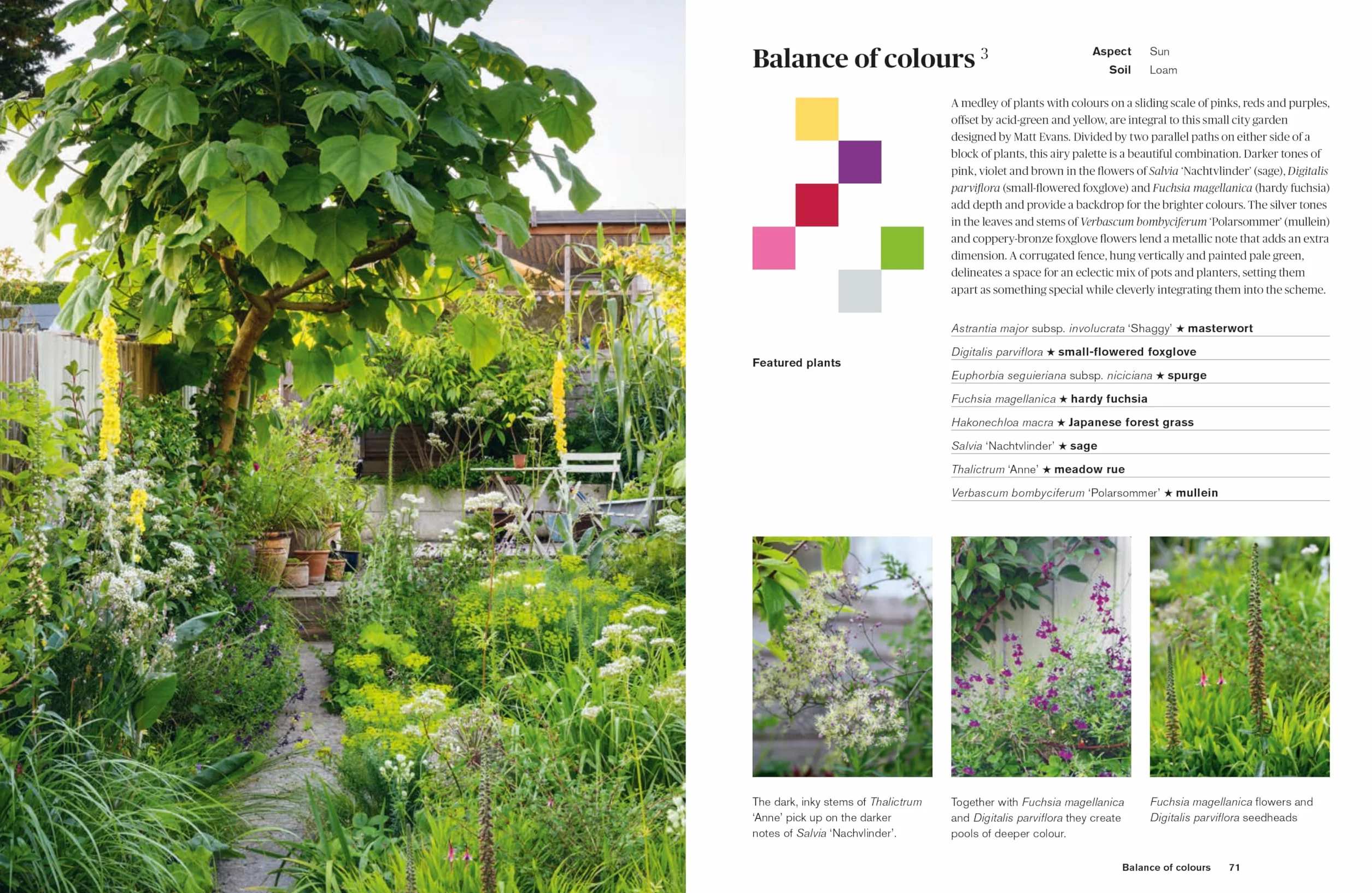 Colour in the Garden: Stylish Ideas for Year-Round Colour
