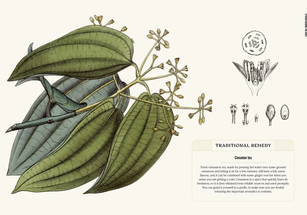 Kew: The Apothecary's Garden: The Science and Mythology of Medicinal Plants