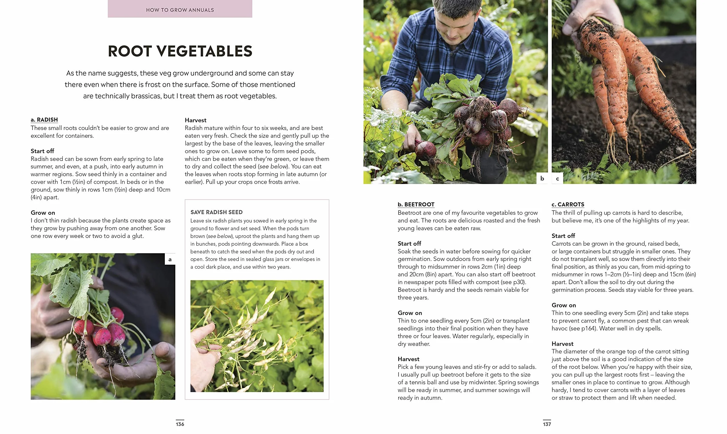Grow Food for Free: The easy, sustainable, zero-cost way to a plentiful harvest