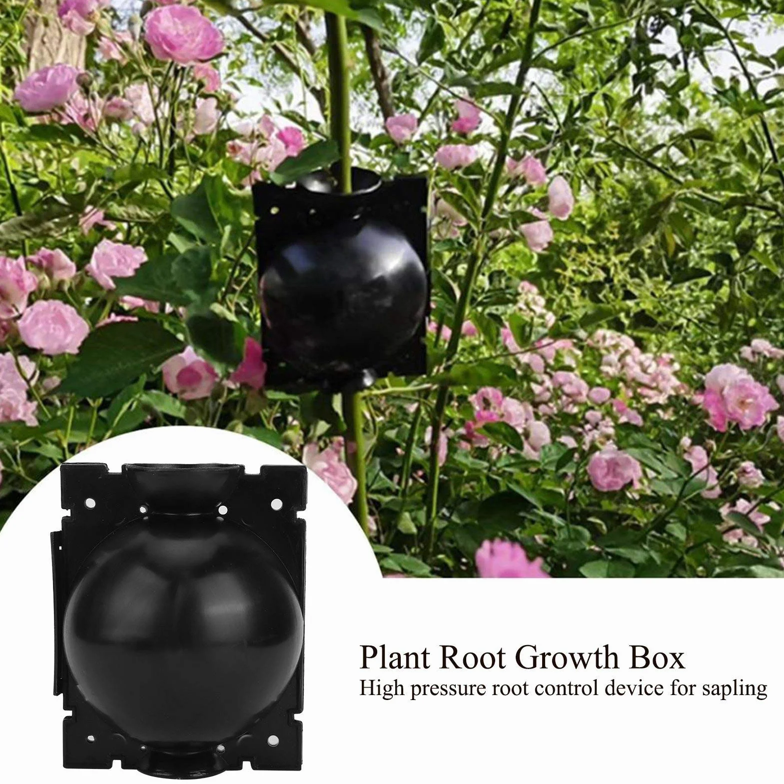 Urządzenie do Ukorzeniania Roślin Szczepienie Grow Box Akcesoria Ogrodnicze Zapewniające Zdrowy Wzrost Korzeni Roślin (BLACK)