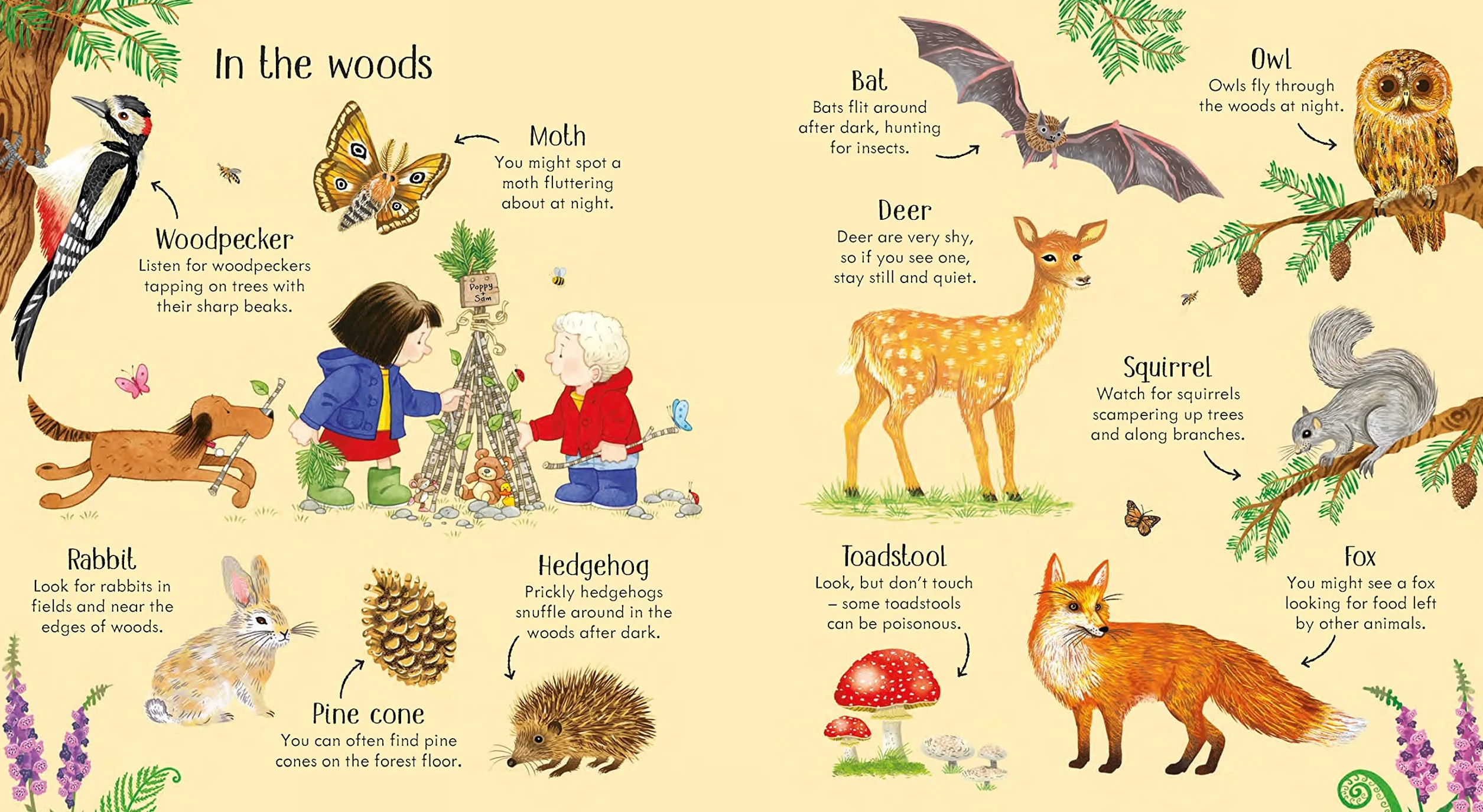 Poppy and Sam's Nature Spotting Book (Farmyard Tales Poppy and Sam)