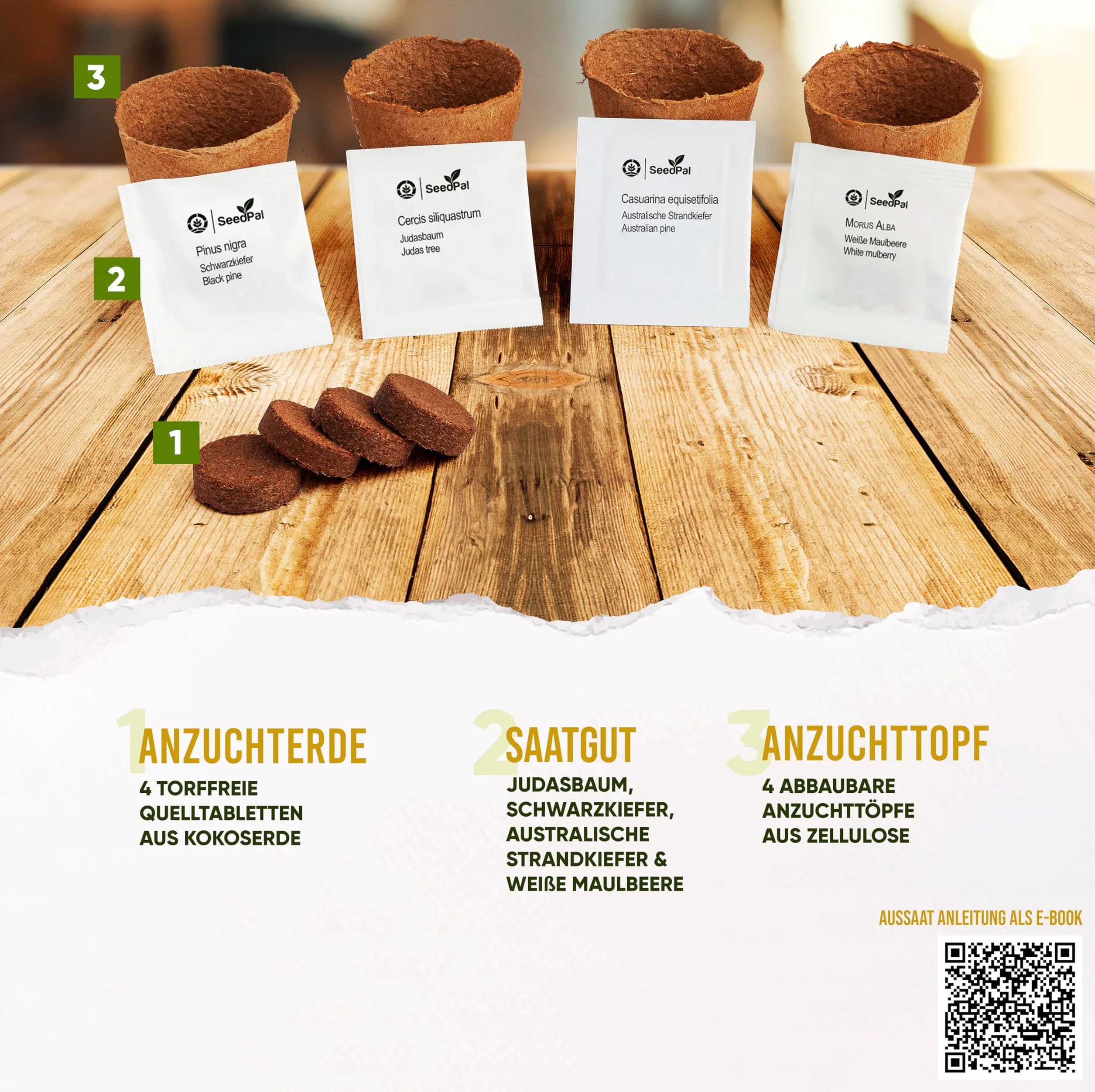 SeedPal Zestaw bonsai - zestaw startowy bonsai - zestaw do uprawy bonsai 4 różne nasiona drzew bonsai - zestaw prezentowy/zestaw do sadzenia wraz z instrukcją i akcesoriami