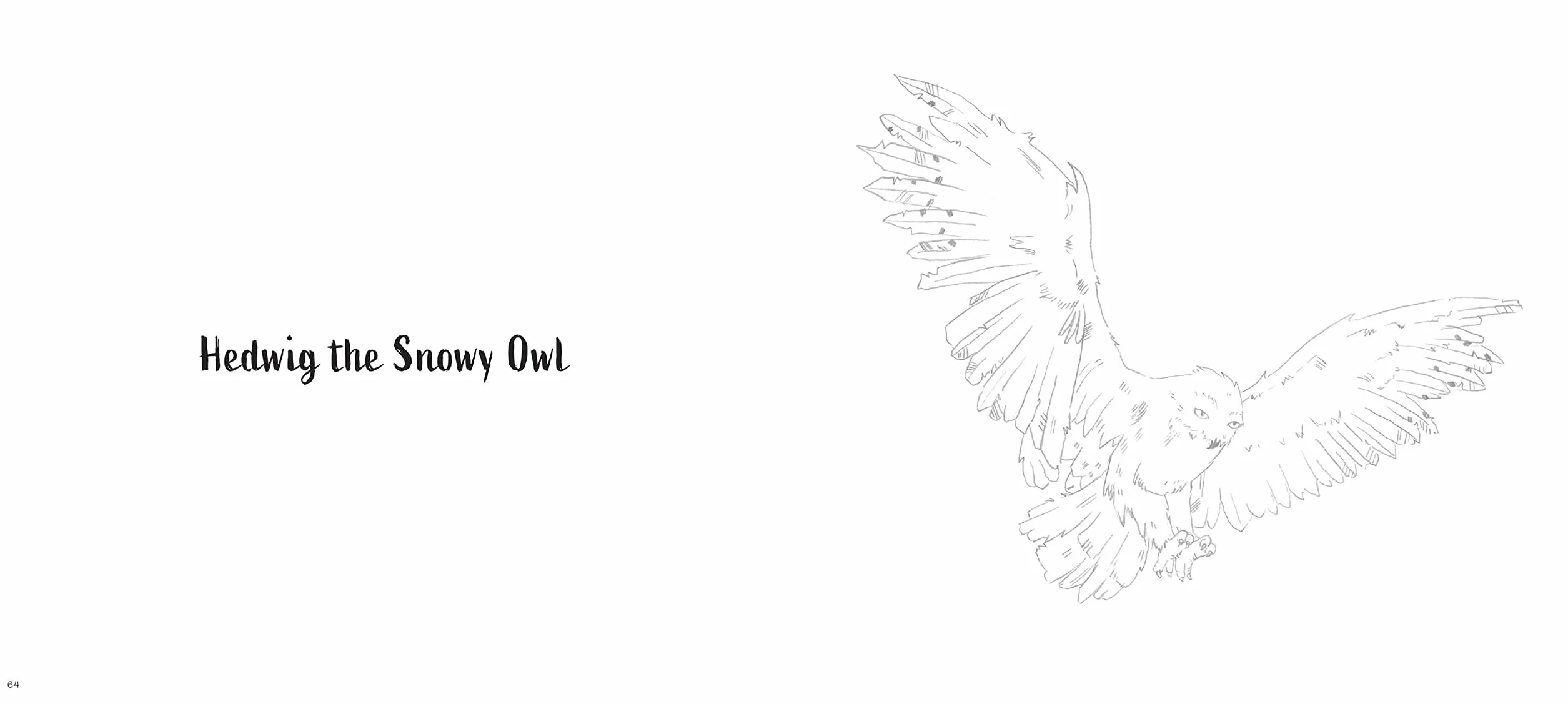 Harry Potter: Watercolor Magic: Flora & Fauna