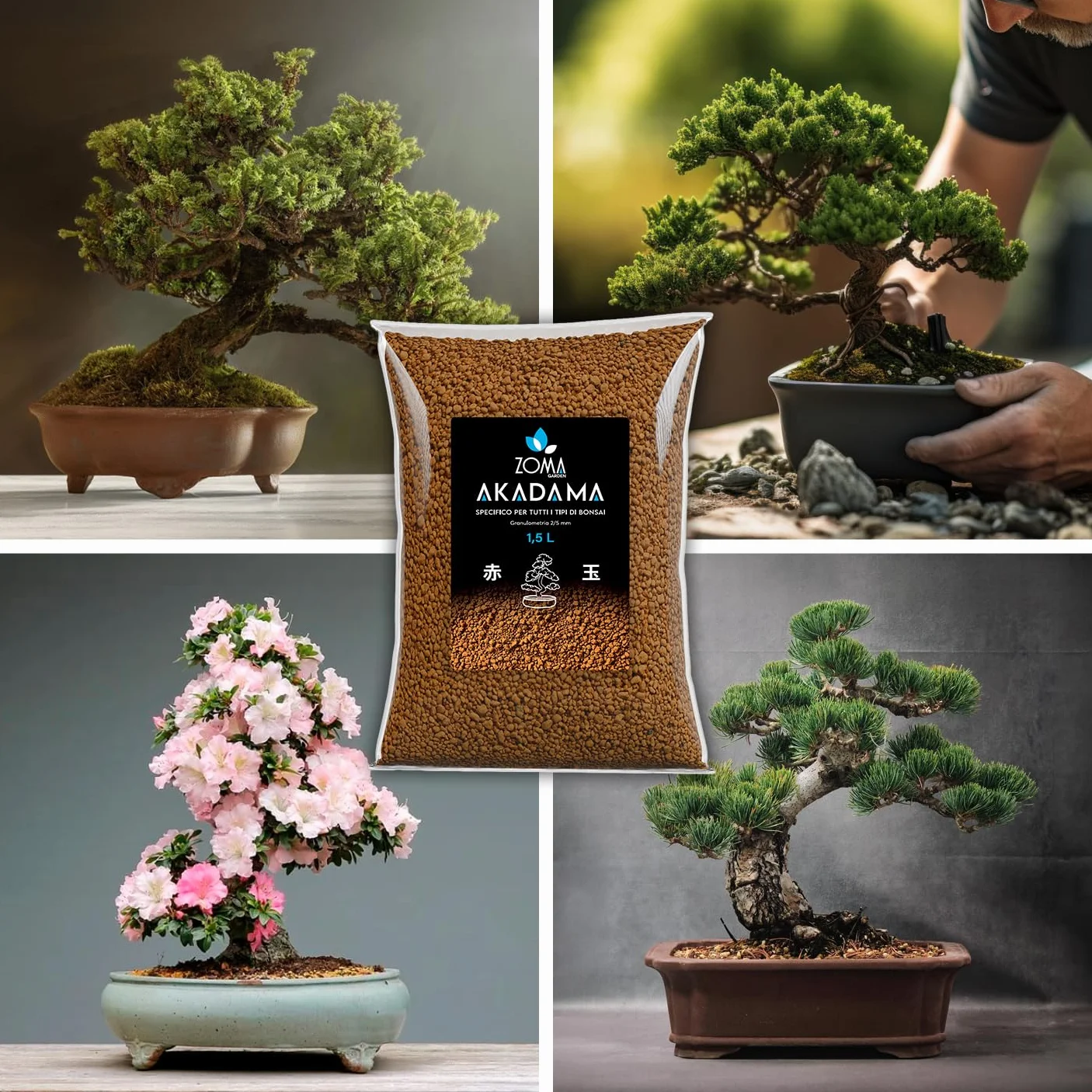 ZOMA Akadama dla profesjonalnego bonsai, ziarna 2-5 mm, japońska glina do bonsai i sukulentów twardych odmian, podłoże wulkaniczne, drenaż i przeciw stagnacji - 1,5 l
