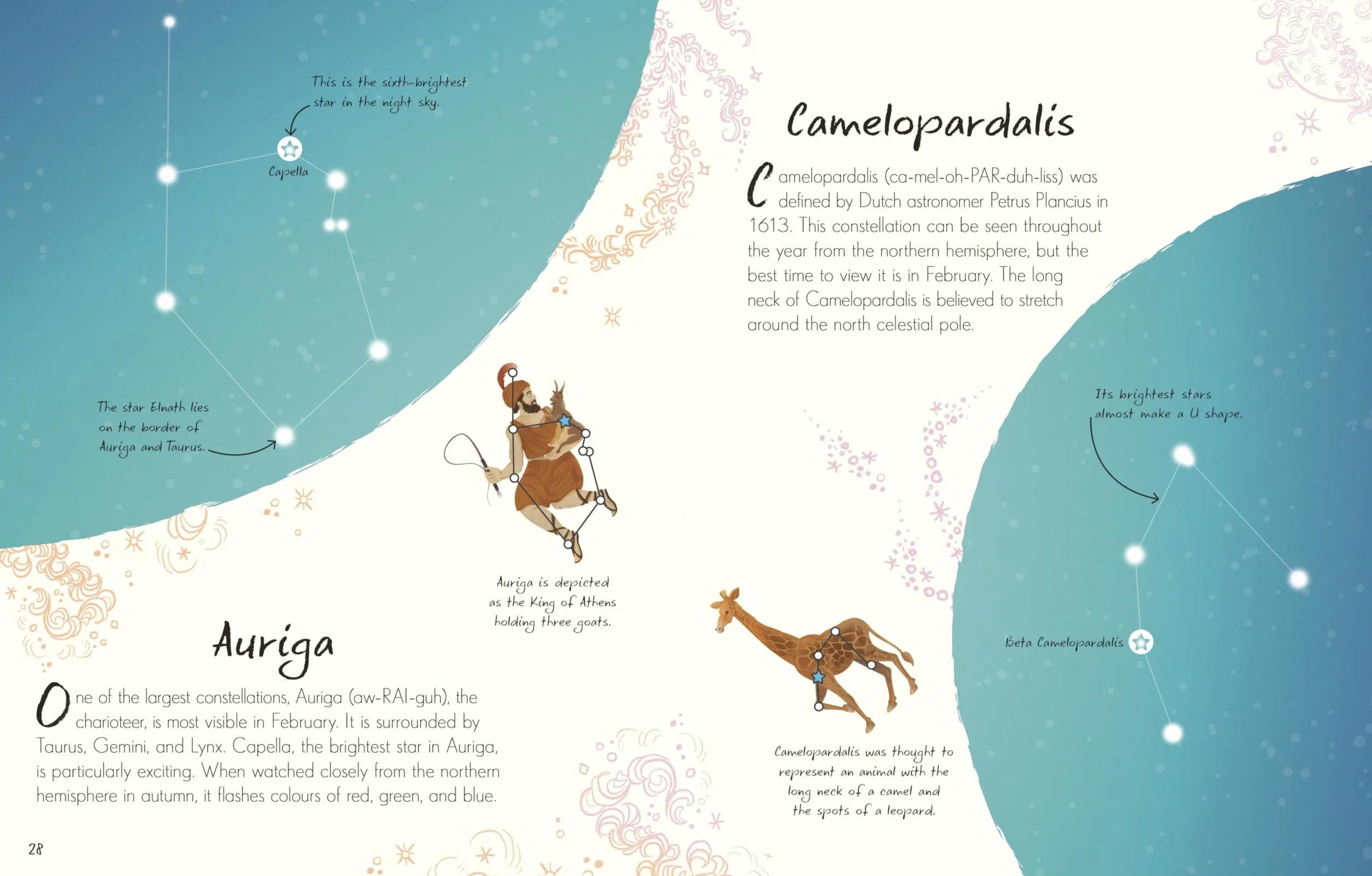 An Anthology of Stargazing: A Collection of Stars and Constellations
