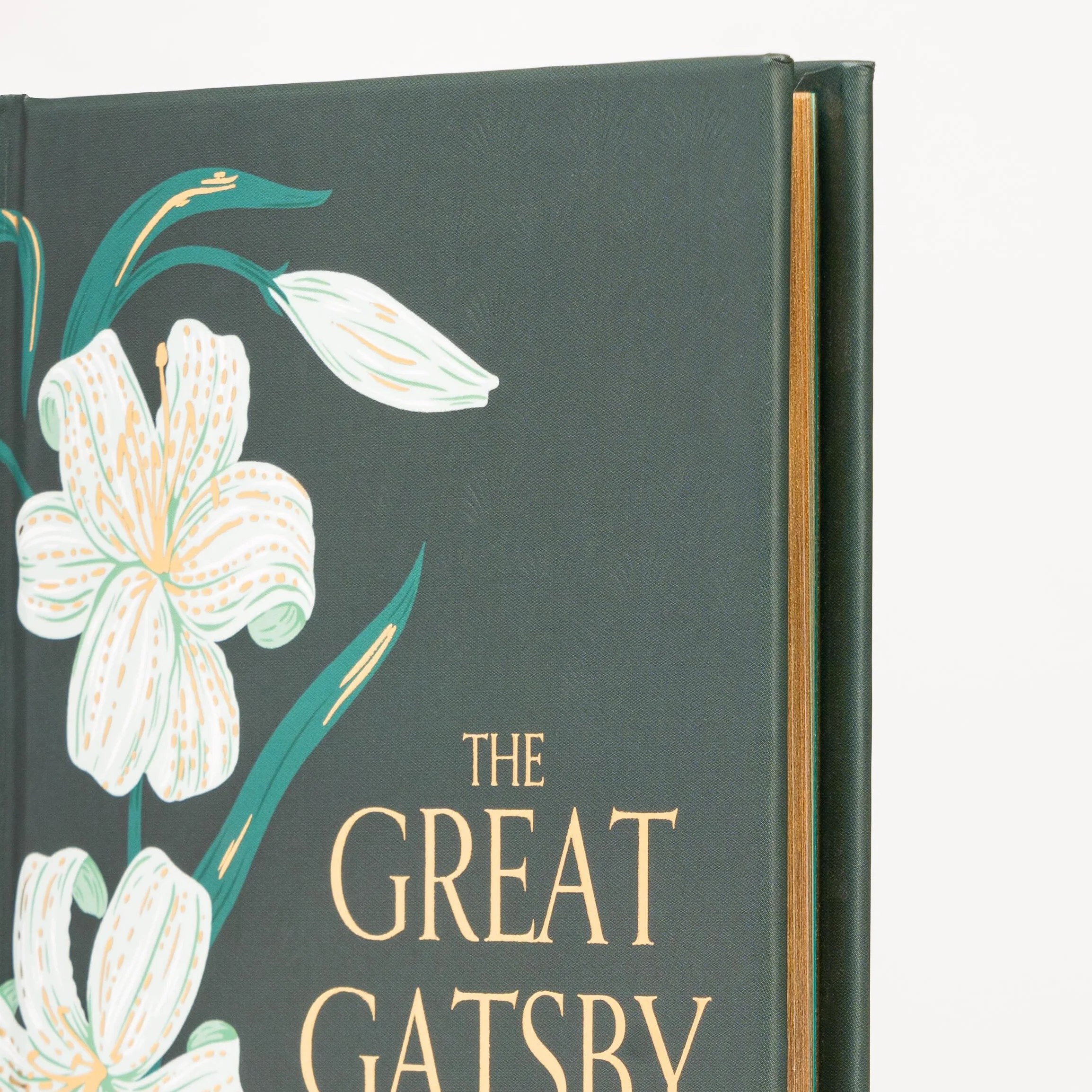 The Great Gatsby (Special Edition)