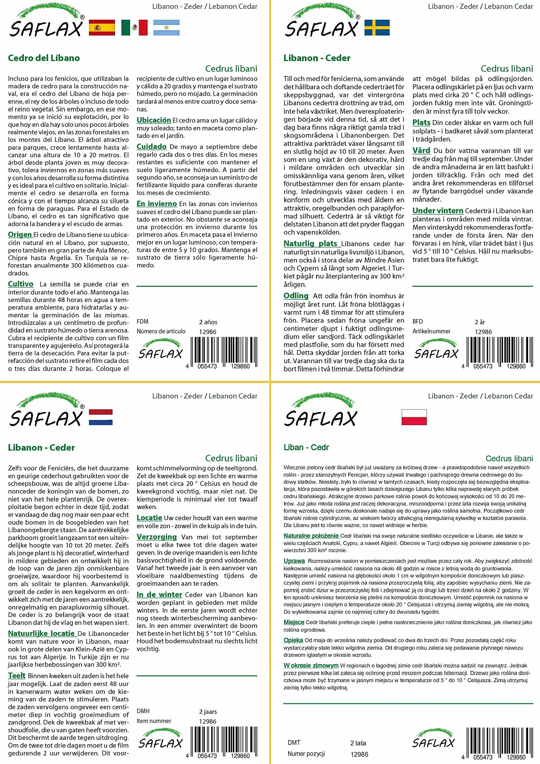 SAFLAX - Liban - Cedr - 20 Nasiona - Z pożywką wolną od zarazków - Cedrus libani