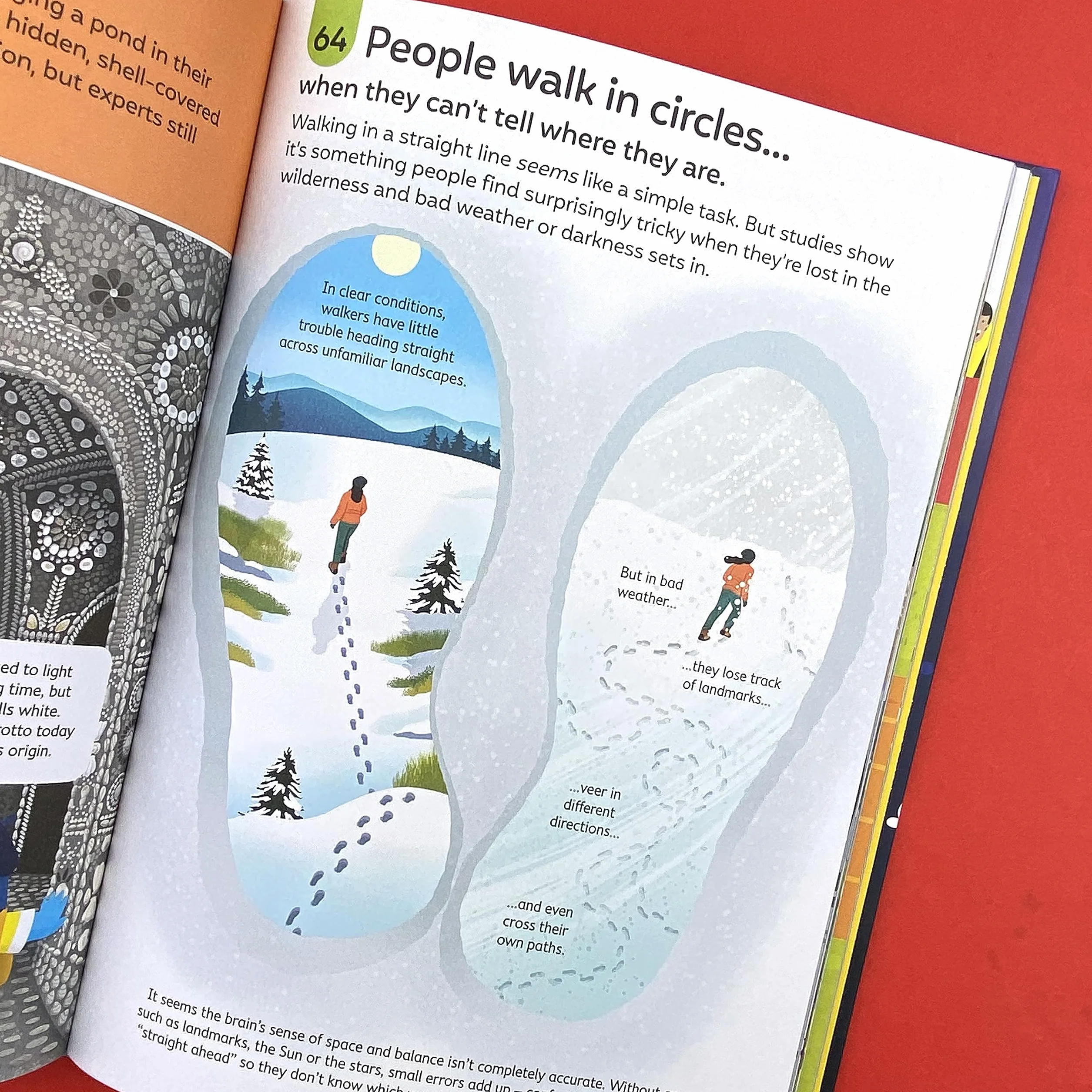 100 Things to Know About the Unknown: A Fact Book for Kids