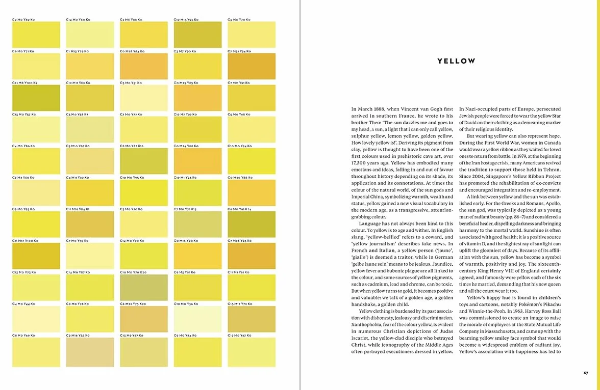 The V&A Book of Colour in Design (paperback) /anglais