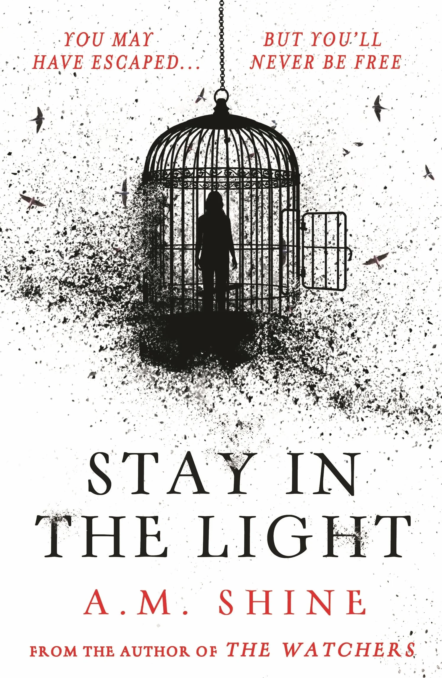 Stay in the Light: the chilling sequel to hit horror novel THE WATCHERS