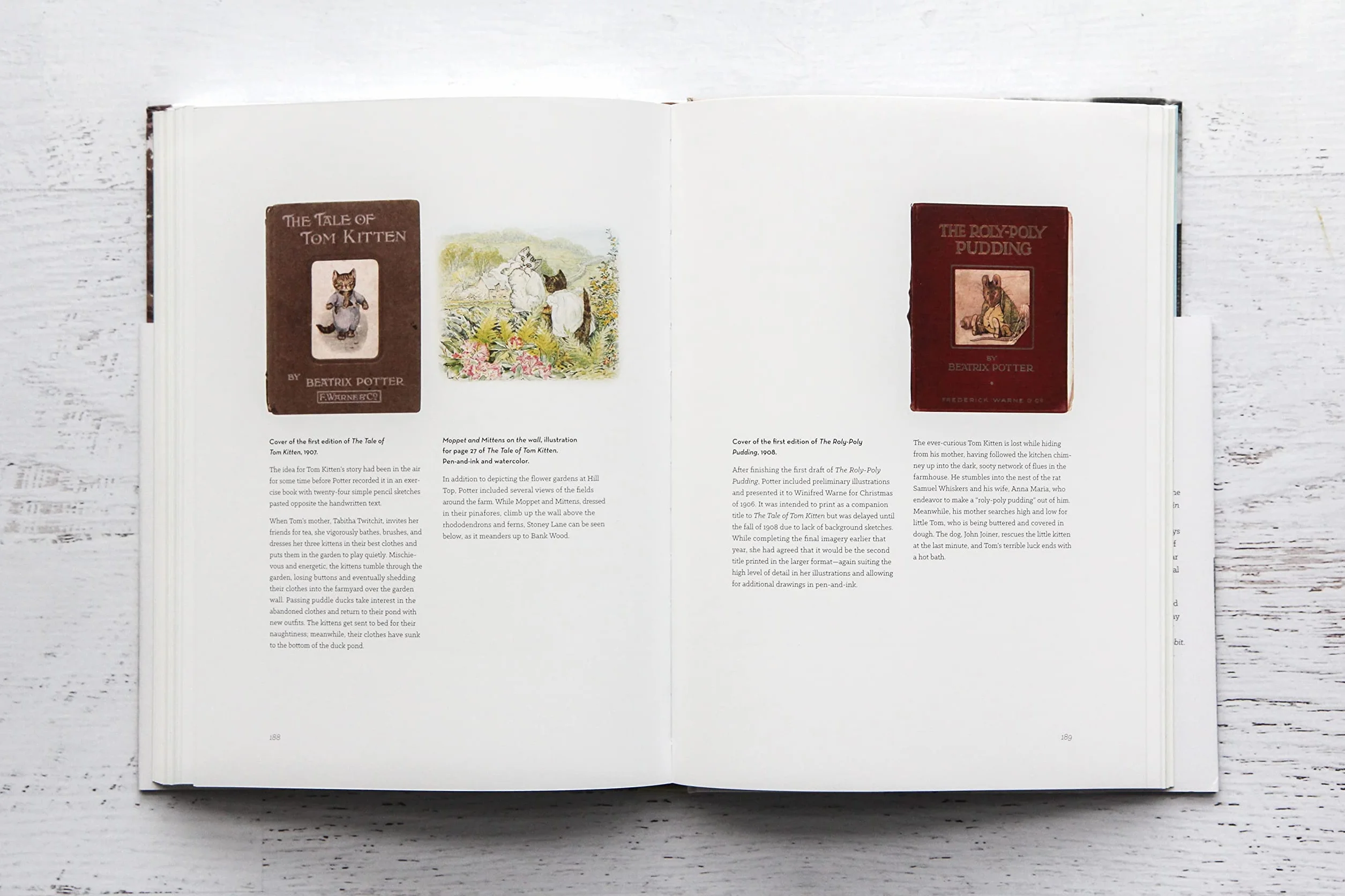 The Art of Beatrix Potter: Sketches, Paintings, and Illustrations