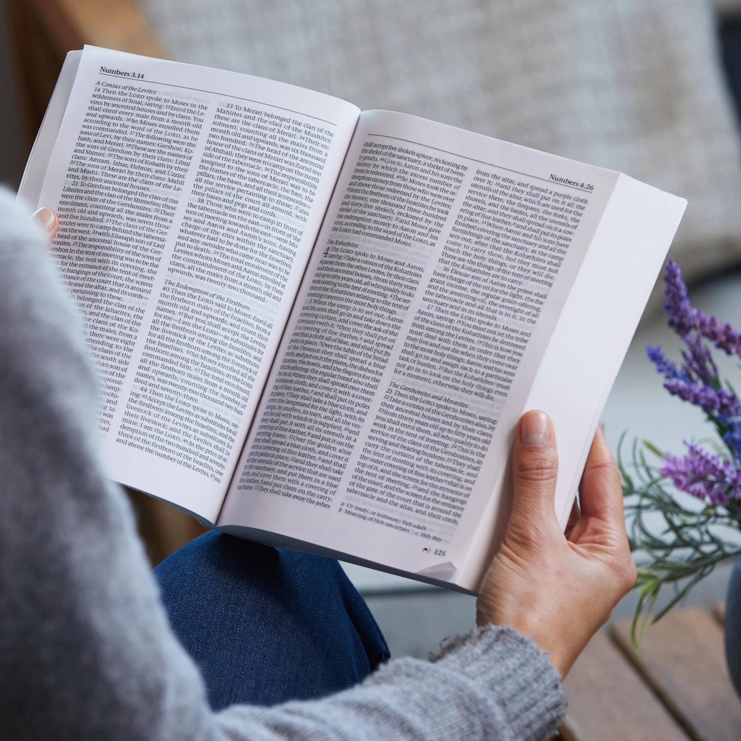 Catholic Bible-NRSV: Holy Bible