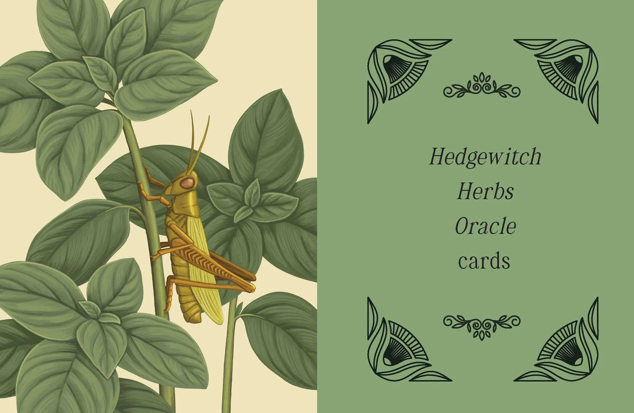 Kate Forsyth's Hedgewitch Oracle