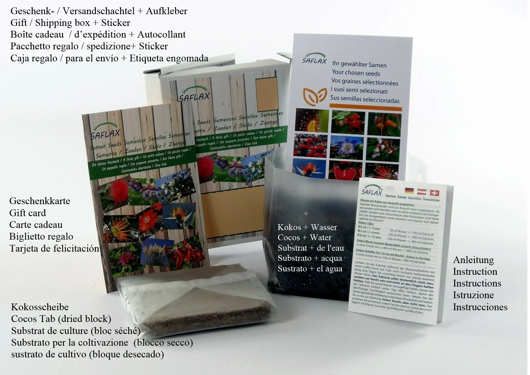 SAFLAX - Bio - Mniszek Lekarski - 400 Nasiona - Taraxacum officinale