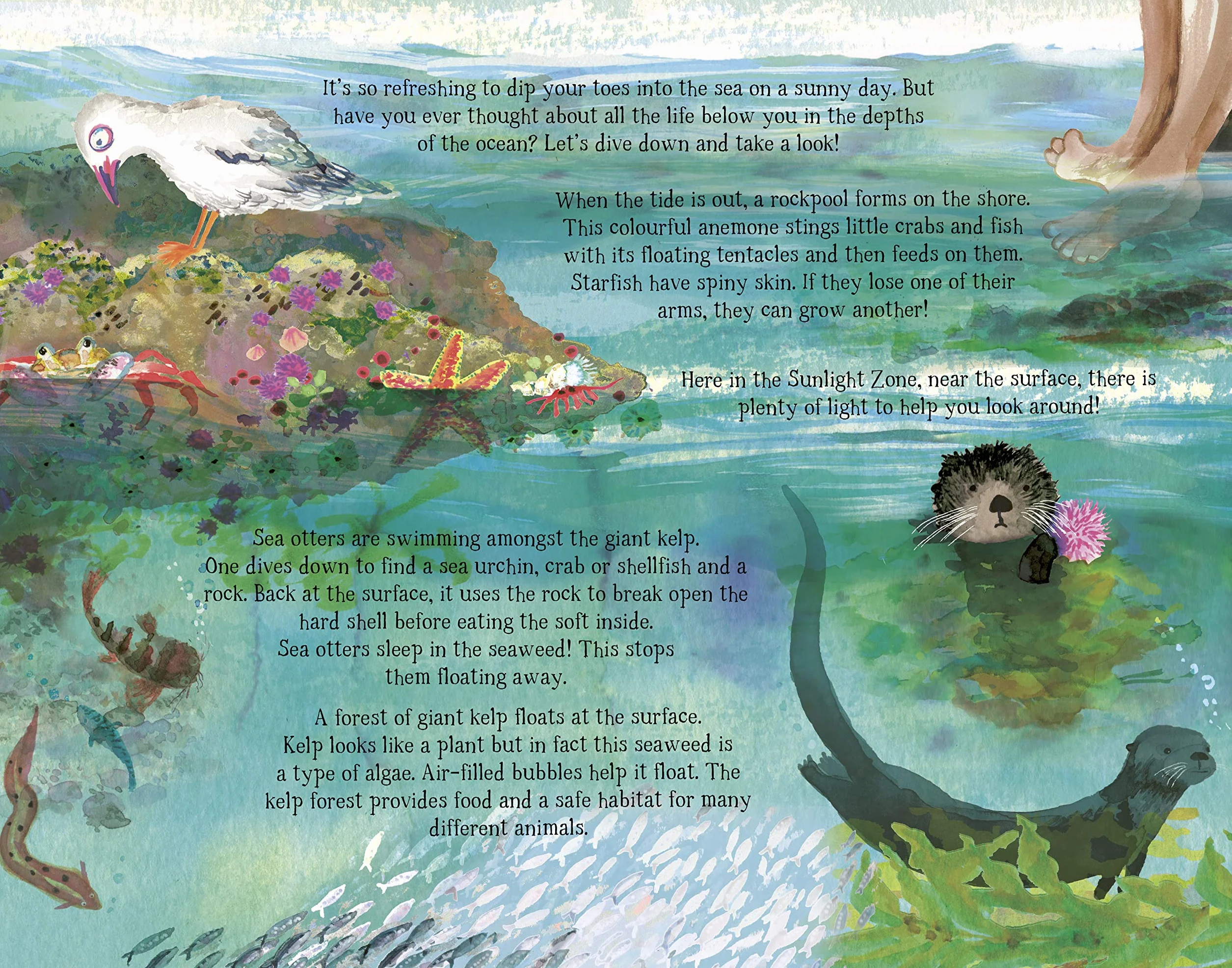 The Sea Below My Toes