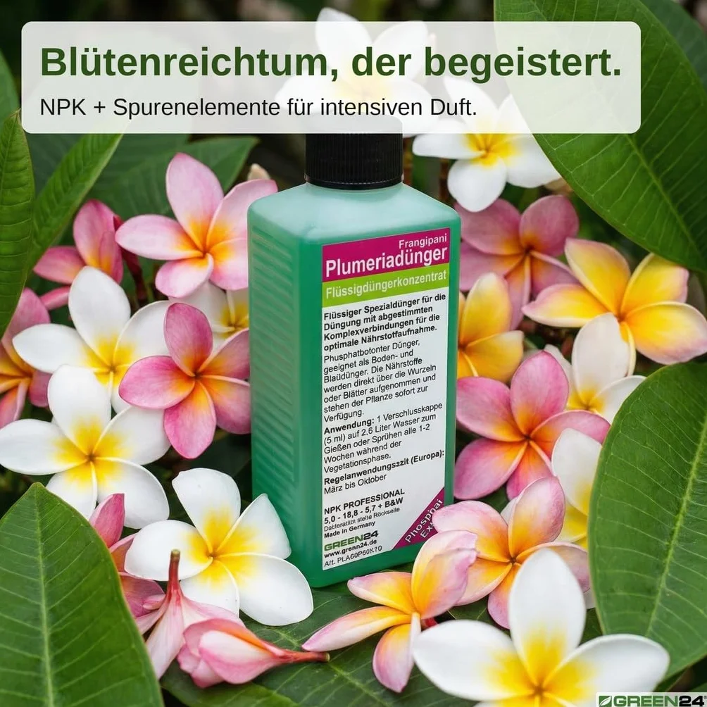 GREEN24 Frangipani-Dünger Hightech Płynny Fertilizer do Plumerie Frangipane