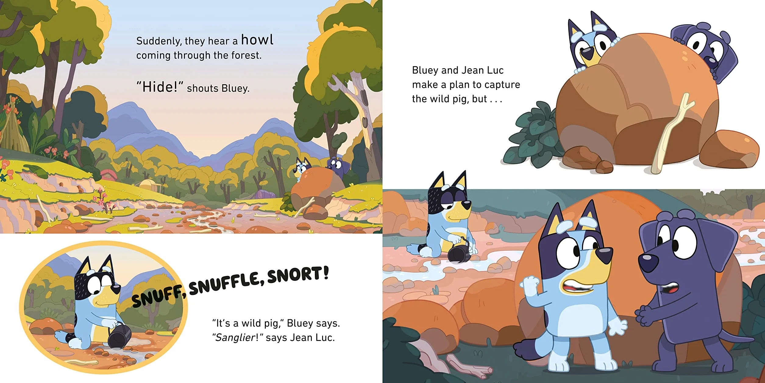 Bluey: Camping