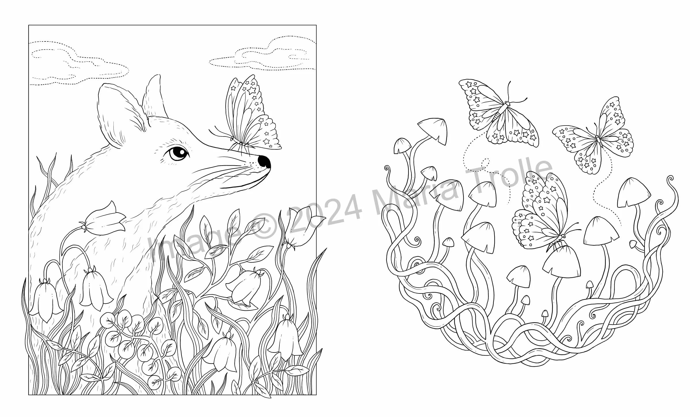 Shooting Star: Coloring Book