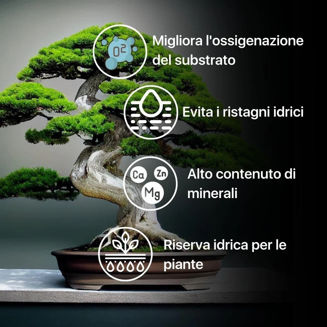 ZOMA Akadama dla profesjonalnego bonsai, ziarna 2-5 mm, japońska glina do bonsai i sukulentów twardych odmian, podłoże wulkaniczne, drenaż i przeciw stagnacji - 1,5 l