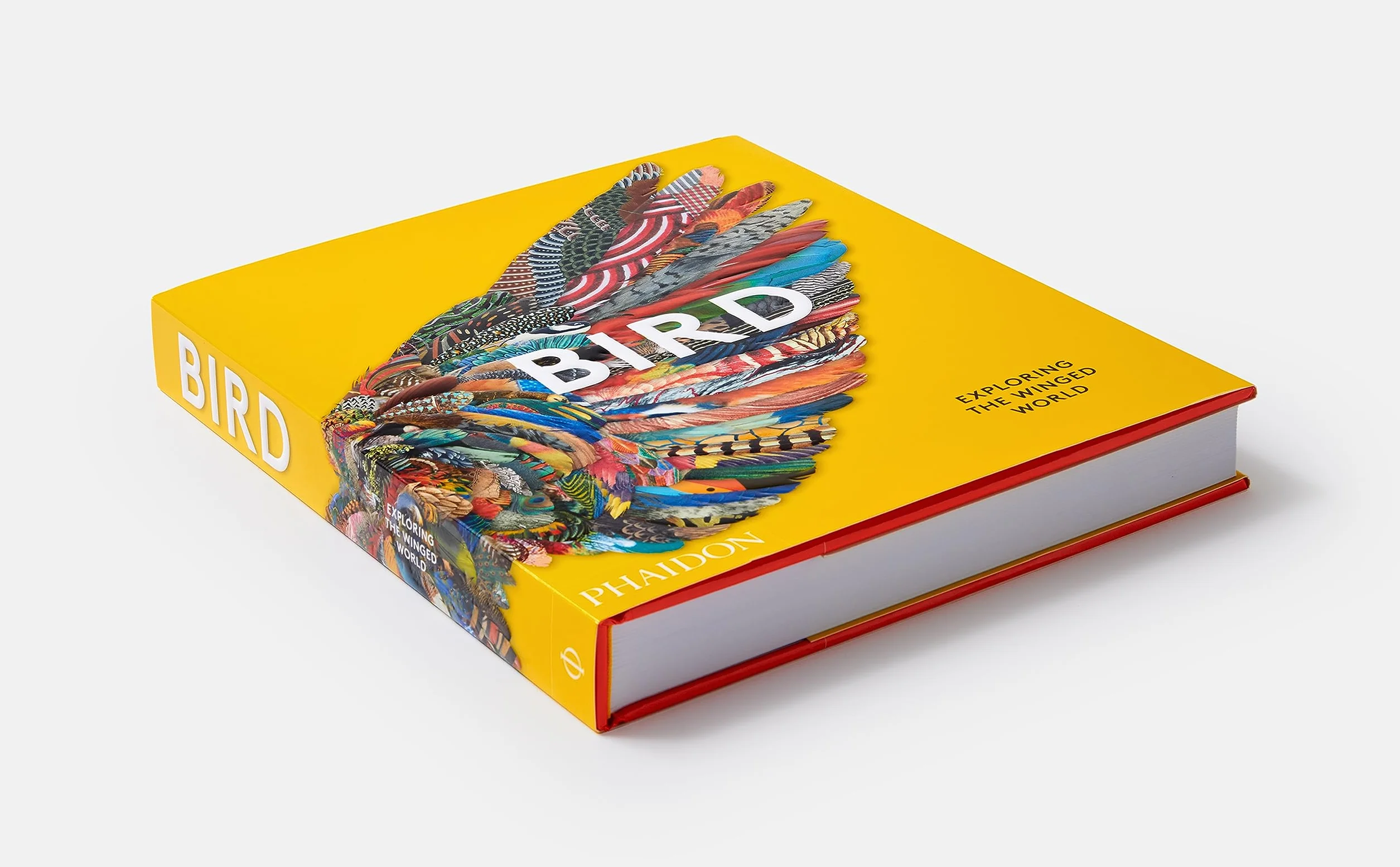 Bird: Exploring the winged world
