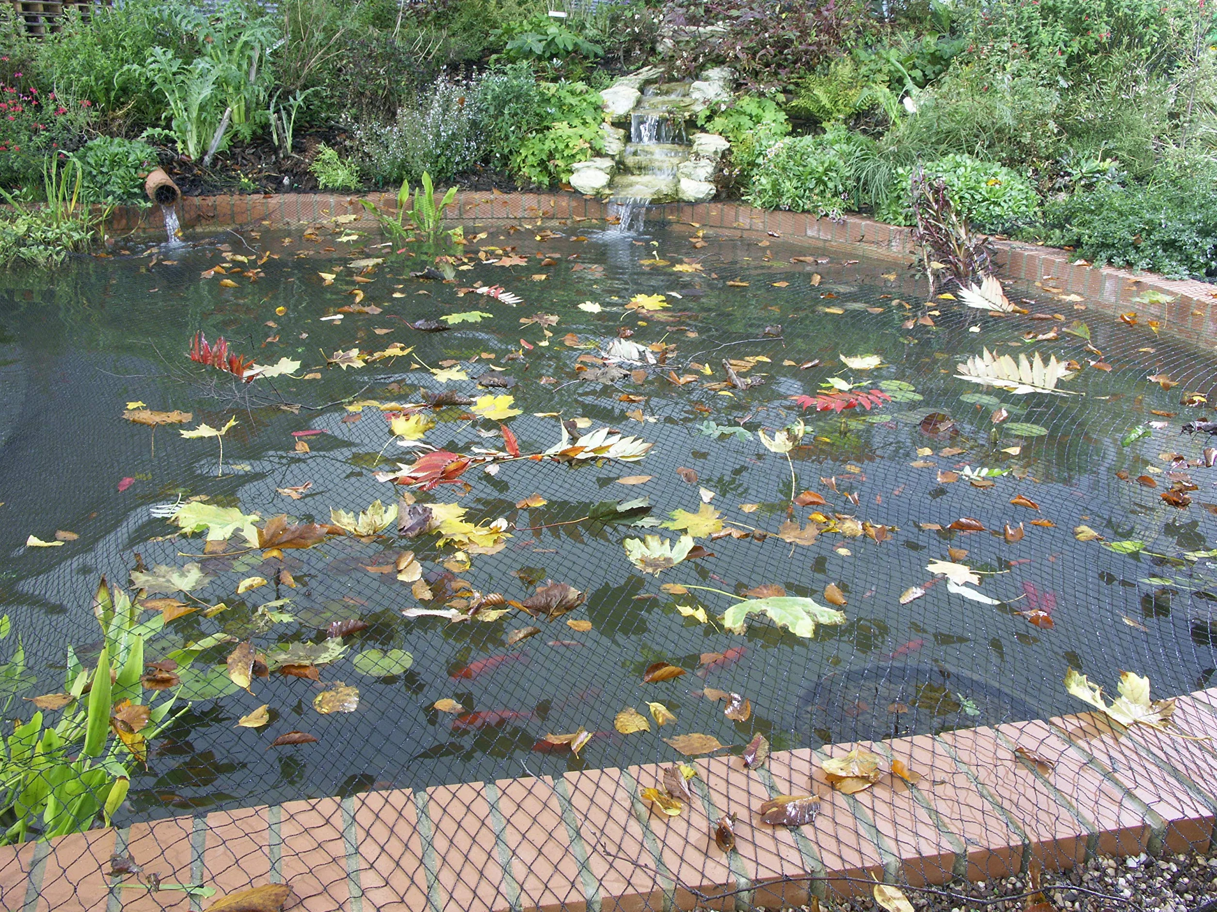 Blagdon Clearview siatka na staw - 6 m x 5 m