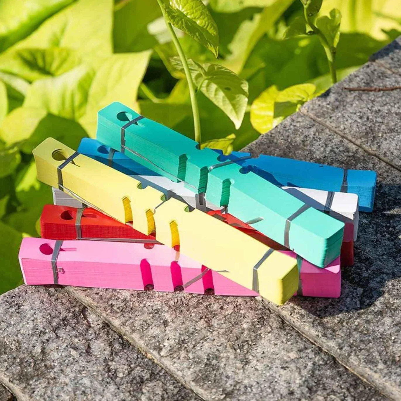Etykiety ogrodowe, etykiety do roślin, plastikowe pętelki, etykiety do roślin, etykiety ogrodowe, wielokrotnego użytku na zewnątrz, do ogrodu, 6 kolorów (300 szt.).