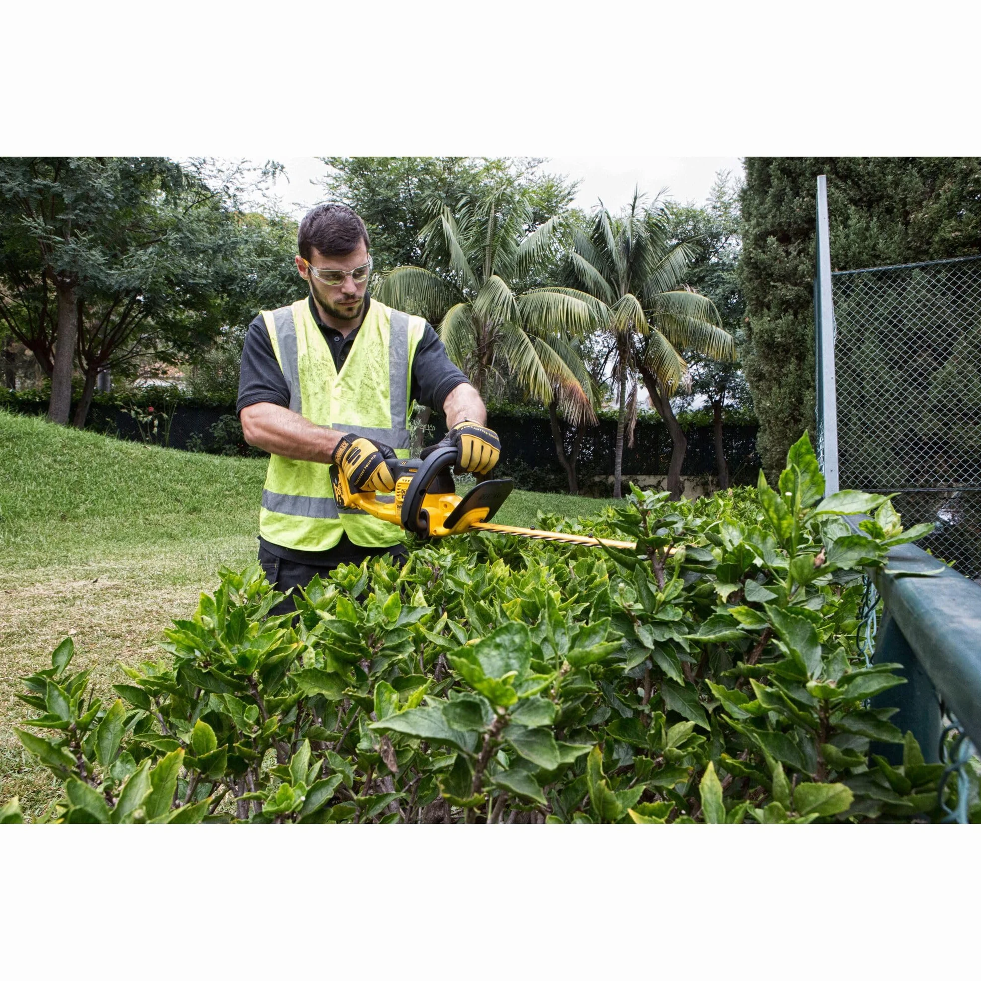 Dewalt DCM563PB-GB Nożyce do Żywopłotu, 18 V, Żółty/Czarny, 55 cm, 19 mm