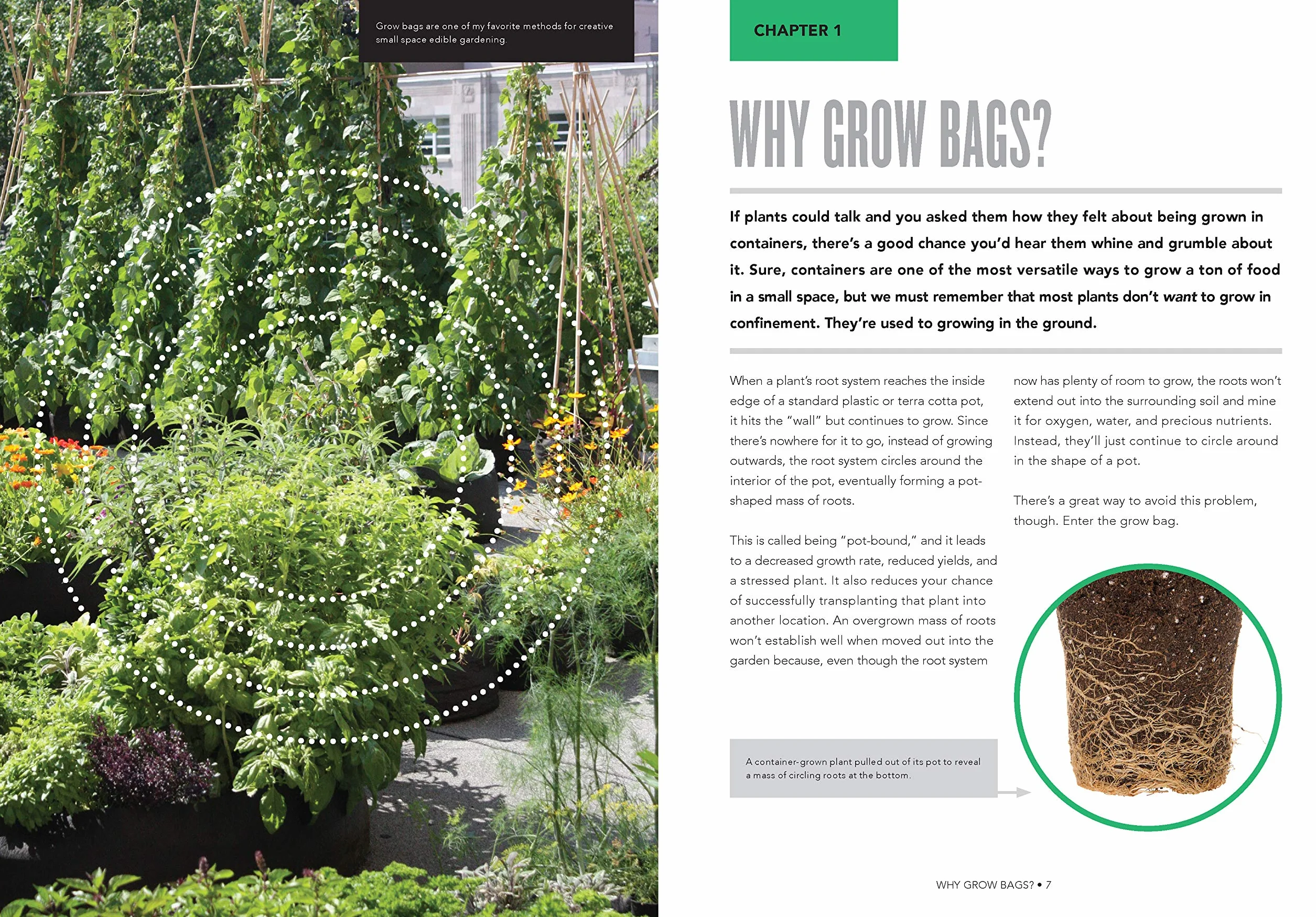Grow Bag Gardening: The Revolutionary Way to Grow Bountiful Vegetables, Herbs, Fruits, and Flowers in Lightweight, Eco-Friendly Fabric Pots - Perfect ... Gardens, Balconies & Rooftops. Grow Anywhere!