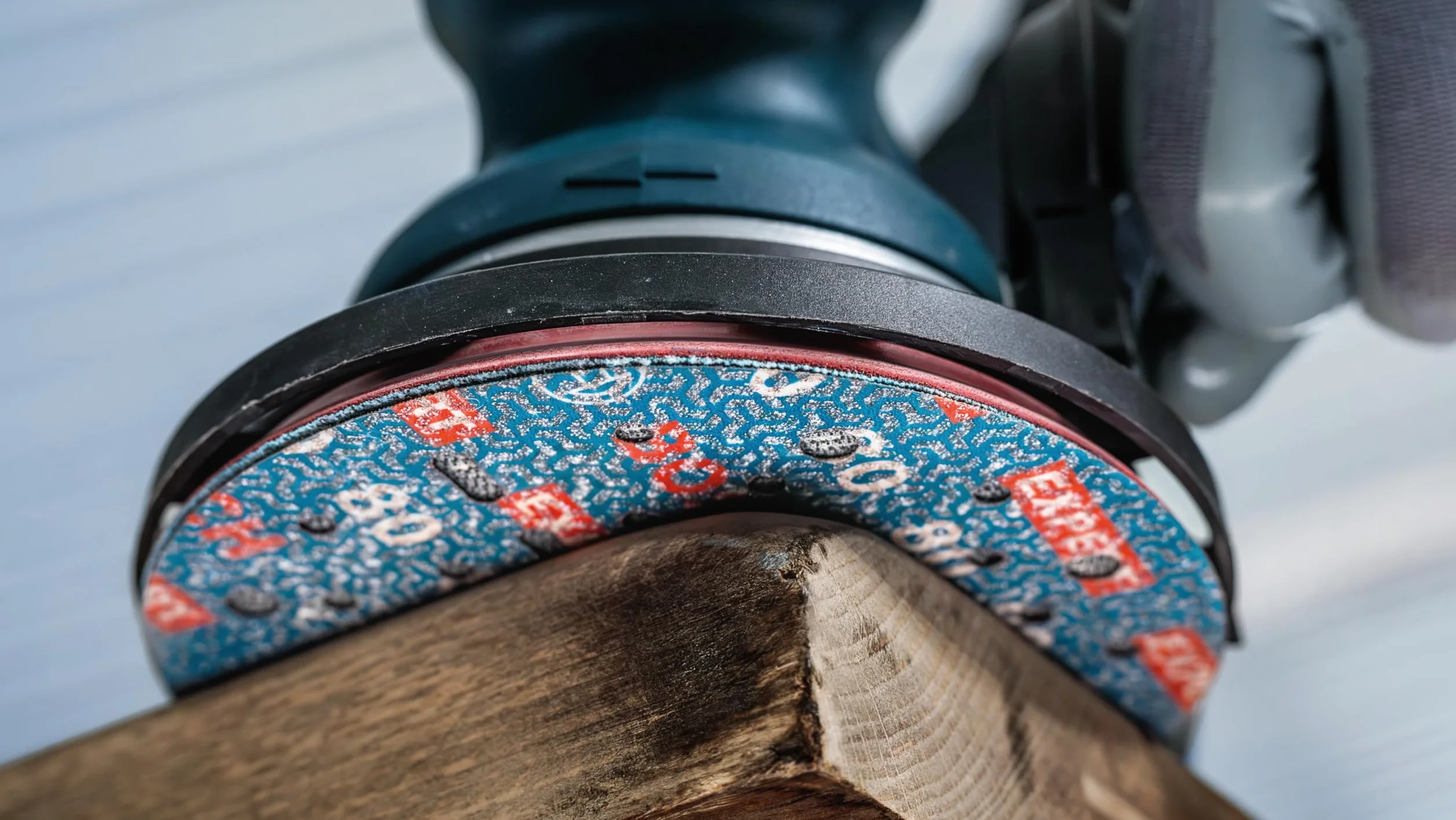 Bosch 1 x EXPERT O780 tarcza szlifierska do folii, 125 mm (do twardego drewna, farba na drewnie, Ø 125 mm, ziarnistość 80, profesjonalne akcesoria szlifierka mimośrodowa)