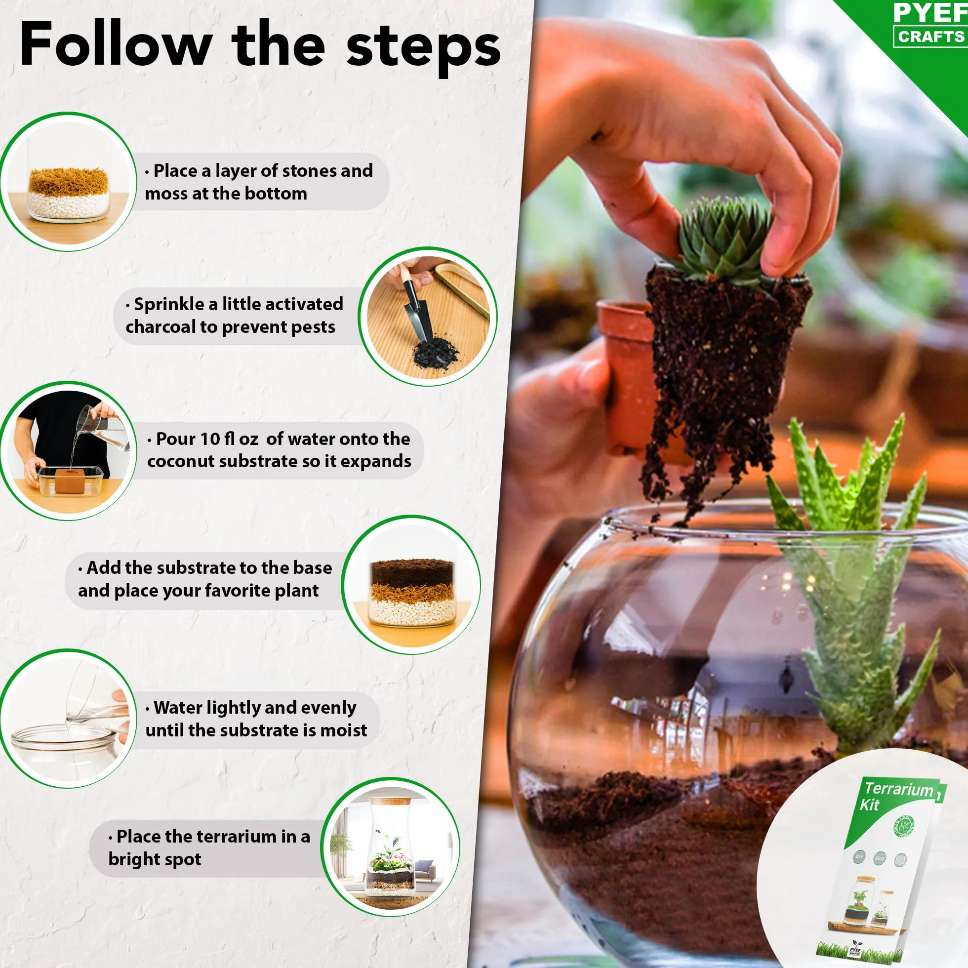Zestaw do terrarium DIY dla roślin, zestaw startowy do ogrodu w butelce, samowystarczalny ekosystem, zestaw do terrarium ze słoikiem, mchem, ziemią, węglem aktywowanym, kamieniami i narzędziami (bez