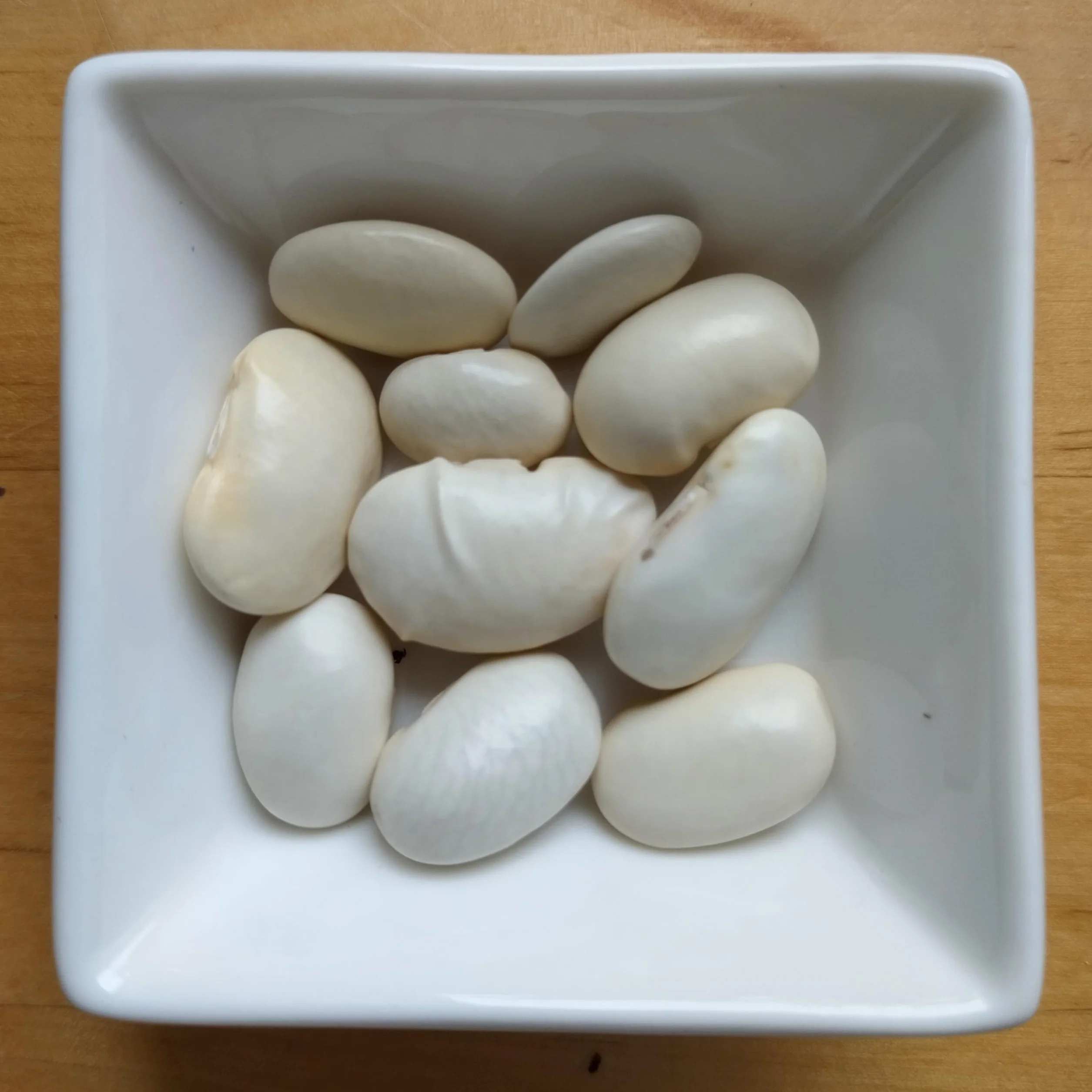 Grecka fasola olbrzymia "Gigantes" (Phaseolus coccineus) ok. 20 nasion