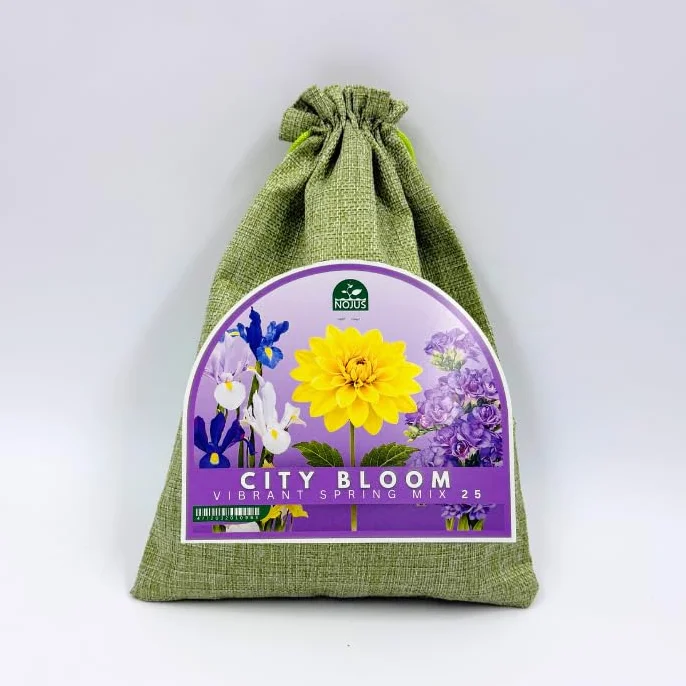 Nojus City Bloom Vibrant Spring Mix – 25 Cebul i Karp (Irys, Frezja i Dalia) – Kolorowe Kwiaty Wiosenno-Letnie do Ogrodu, Balkonu i Donic