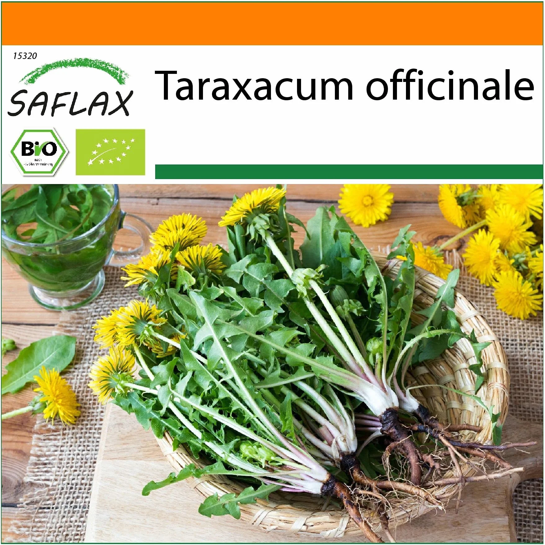 SAFLAX - Bio - Mniszek Lekarski - 400 Nasiona - Taraxacum officinale